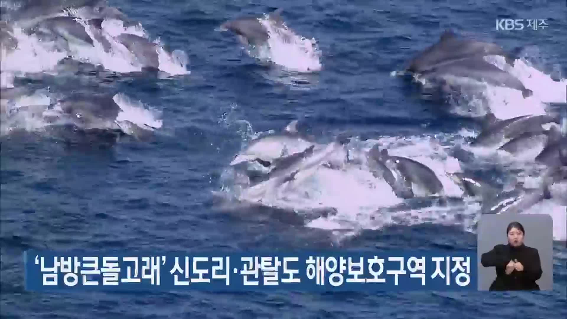 ‘남방큰돌고래’ 신도리·관탈도 해양보호구역 지정