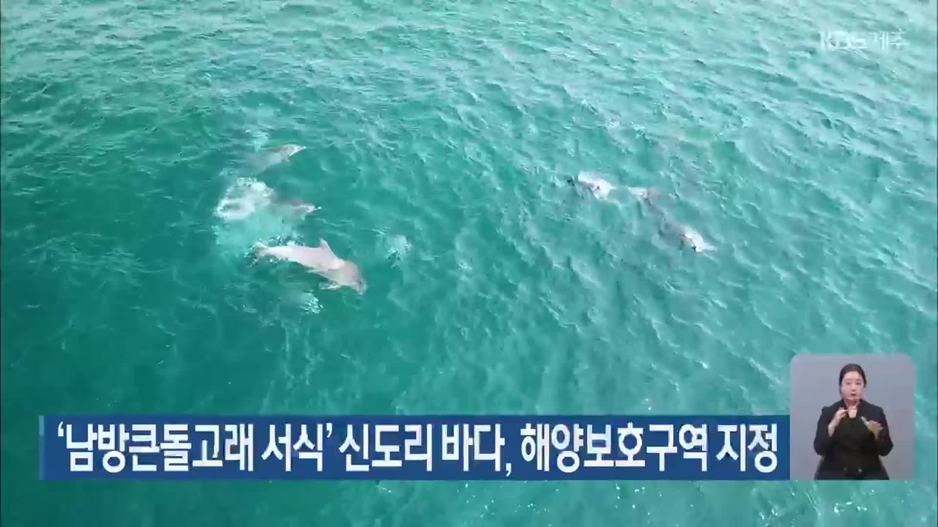 ‘남방큰돌고래 서식’ 신도리 바다, 해양보호구역 지정