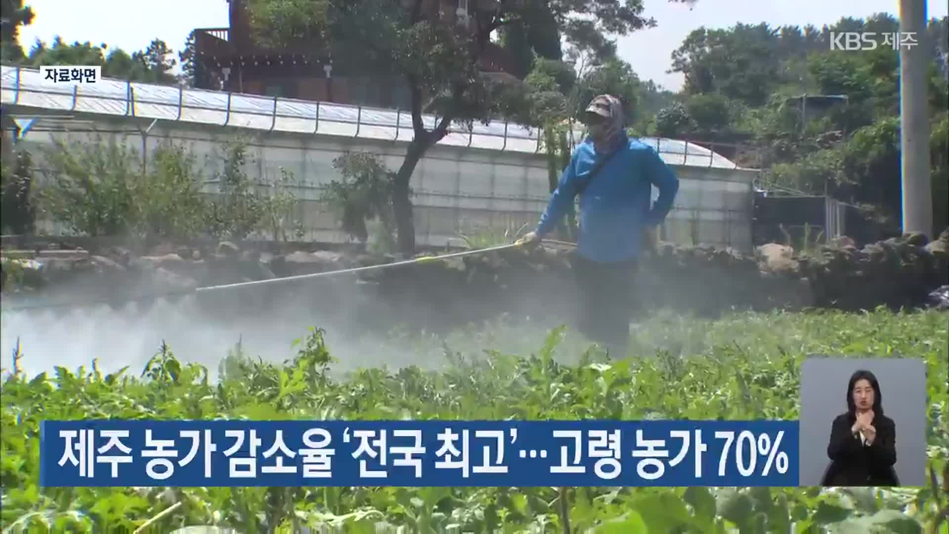제주 농가 감소율 ‘전국 최고’…고령 농가 70%