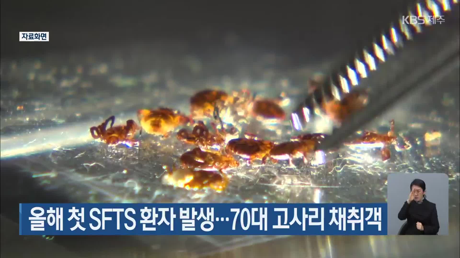 제주 올해 첫 SFTS 환자 발생…70대 고사리 채취객