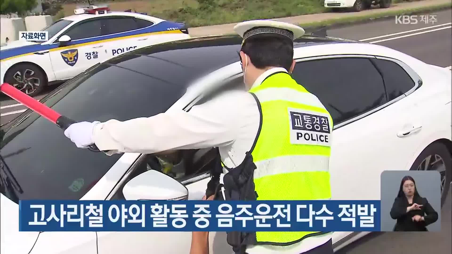 고사리철 야외 활동 중 음주운전 다수 적발