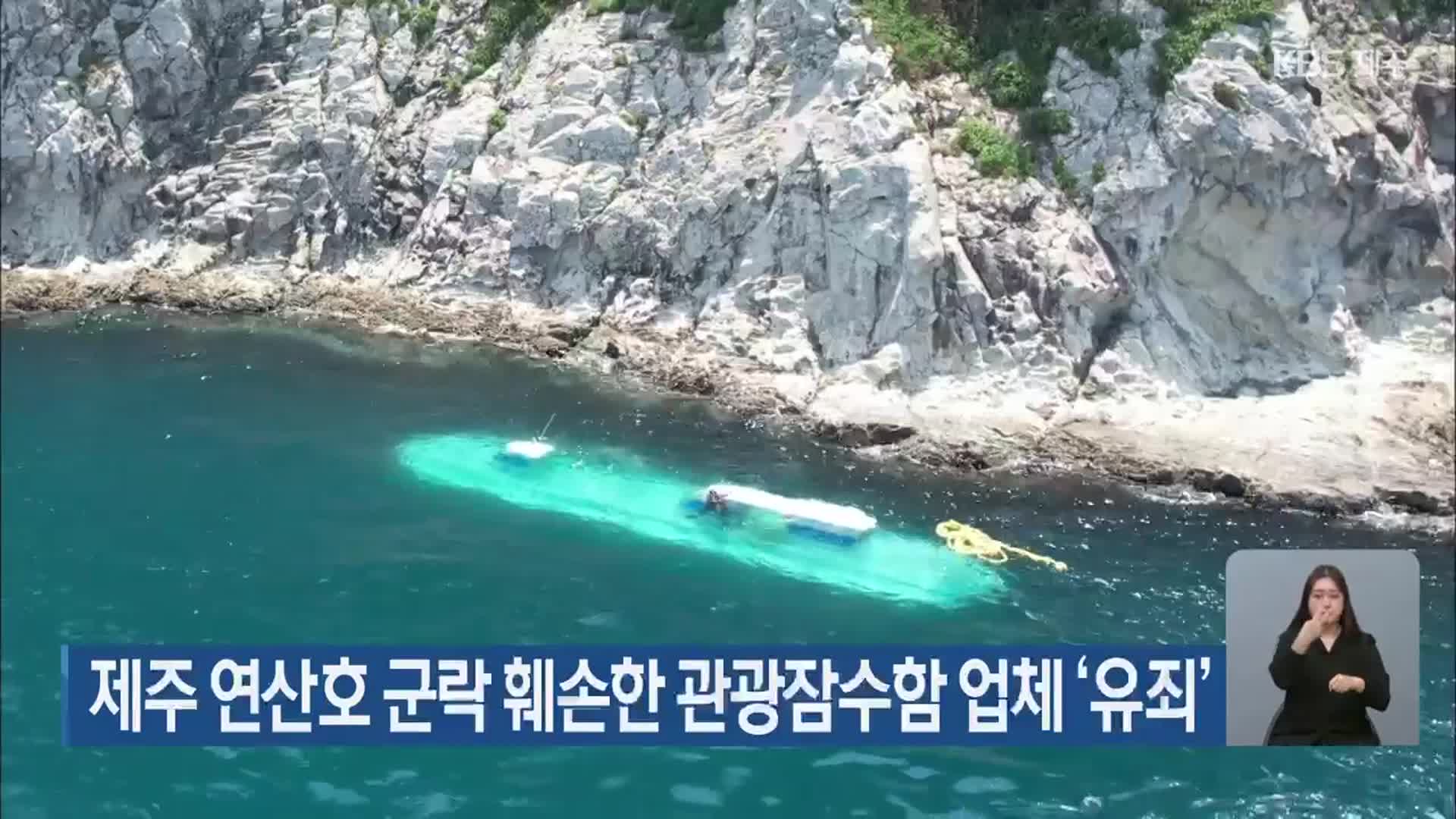 제주 연산호 군락 훼손한 관광잠수함 업체 ‘유죄’