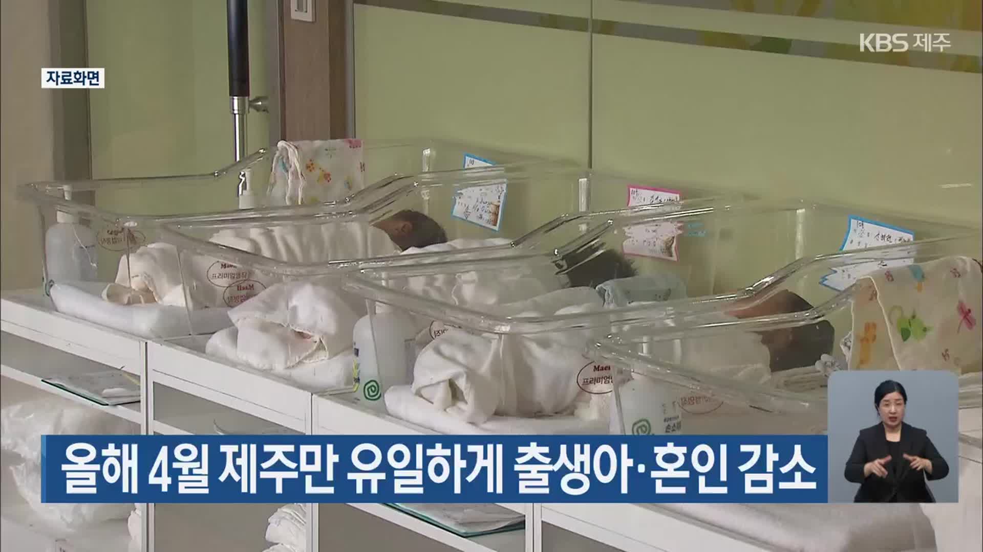 올해 4월 제주만 유일하게 출생아·혼인 감소