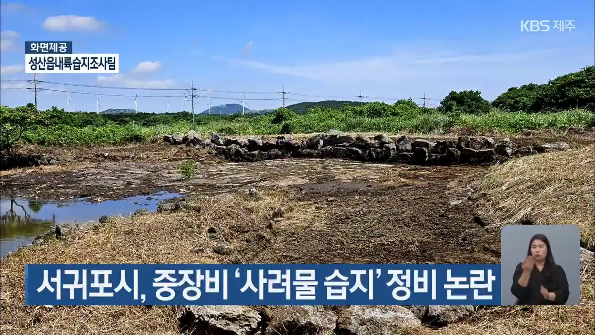 서귀포시, 중장비 ‘사려물 습지’ 정비 논란