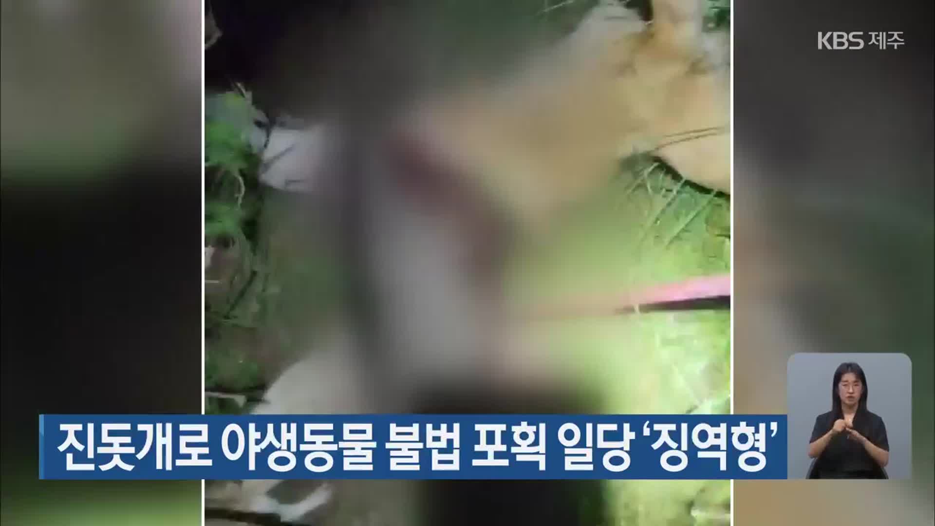 진돗개로 야생동물 불법 포획 일당 ‘징역형’