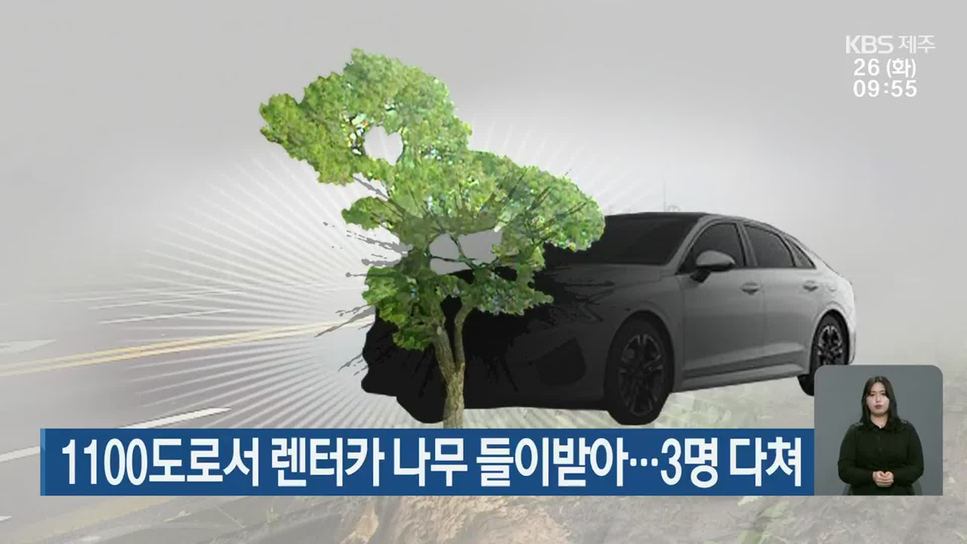 1100도로서 렌터카 나무 들이받아…3명 다쳐