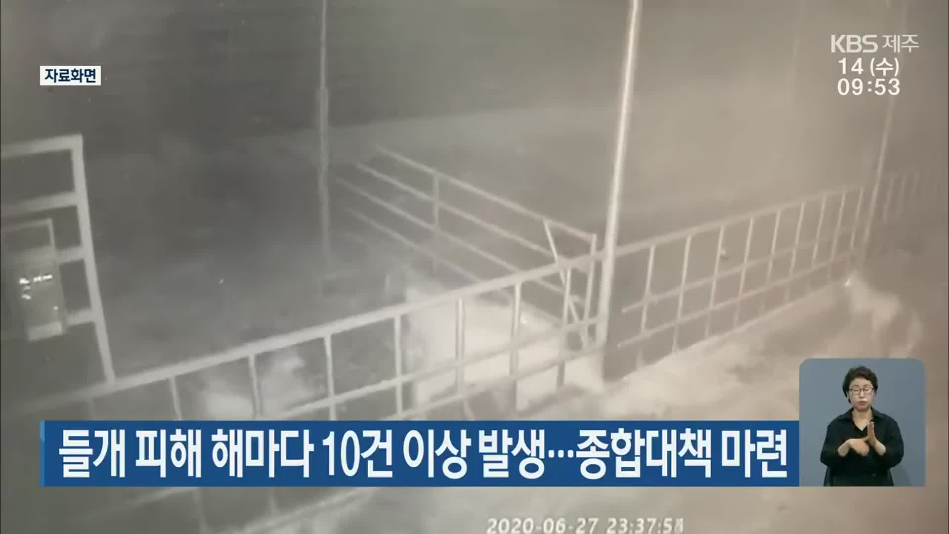 들개 피해 해마다 10건 이상 발생…종합대책 마련