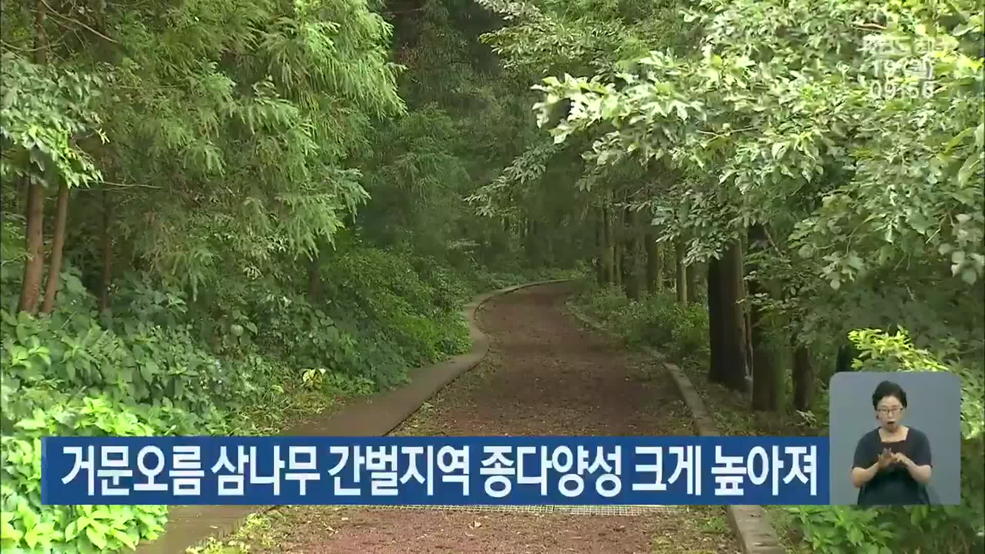 거문오름 삼나무 간벌지역 종다양성 크게 높아져