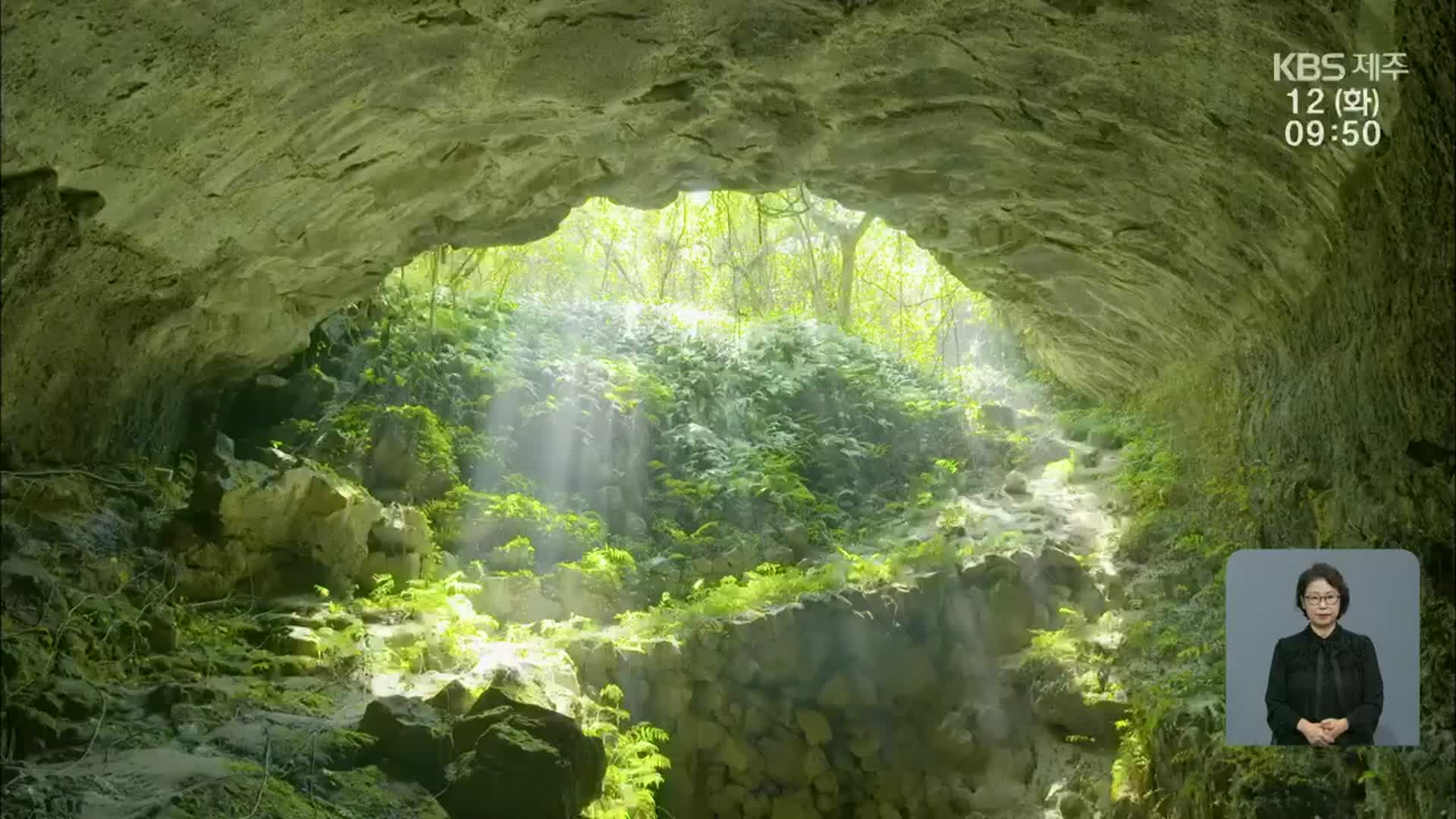 ‘화산섬의 신비’ 제주 세계자연유산 주목