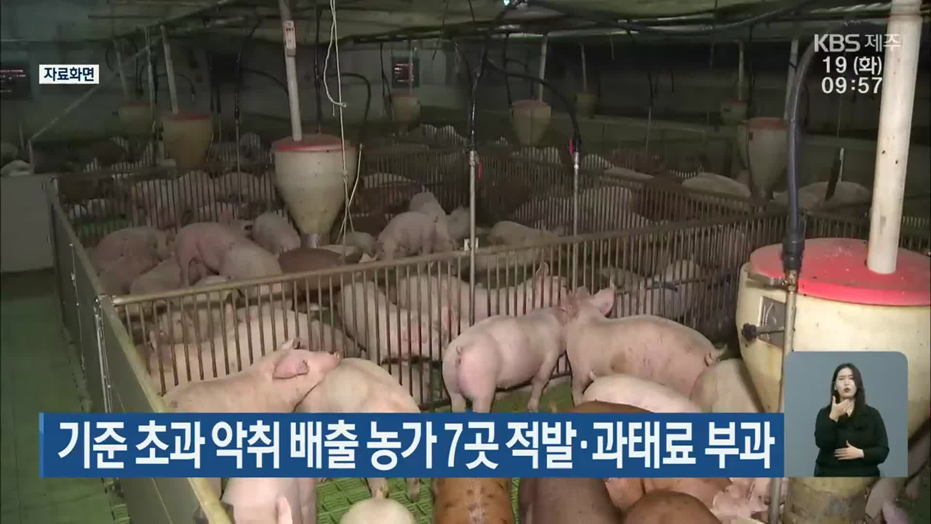 기준 초과 악취 배출 농가 7곳 적발·과태료 부과