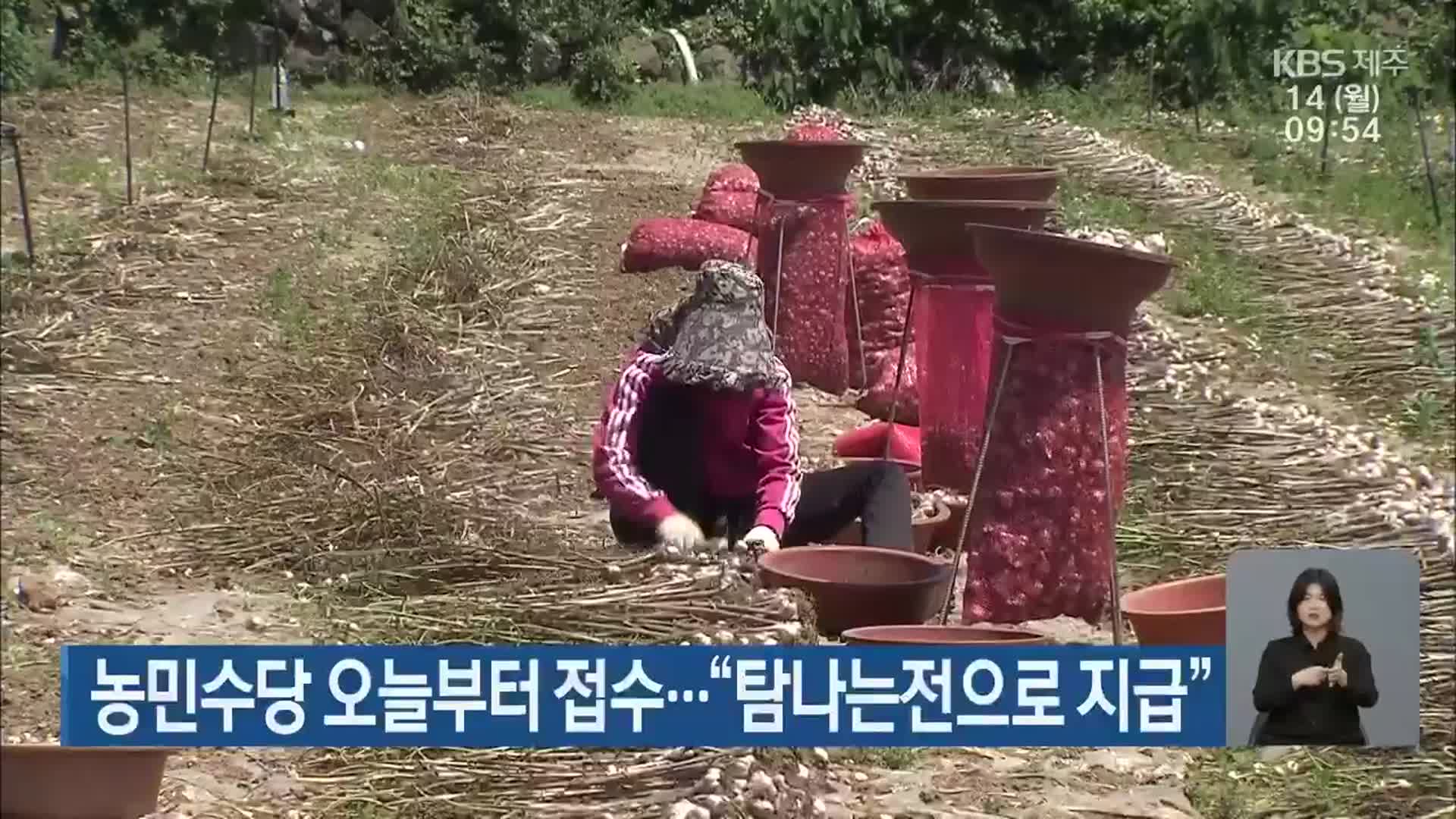 제주, 농민수당 오늘부터 접수…“탐나는전으로 지급”