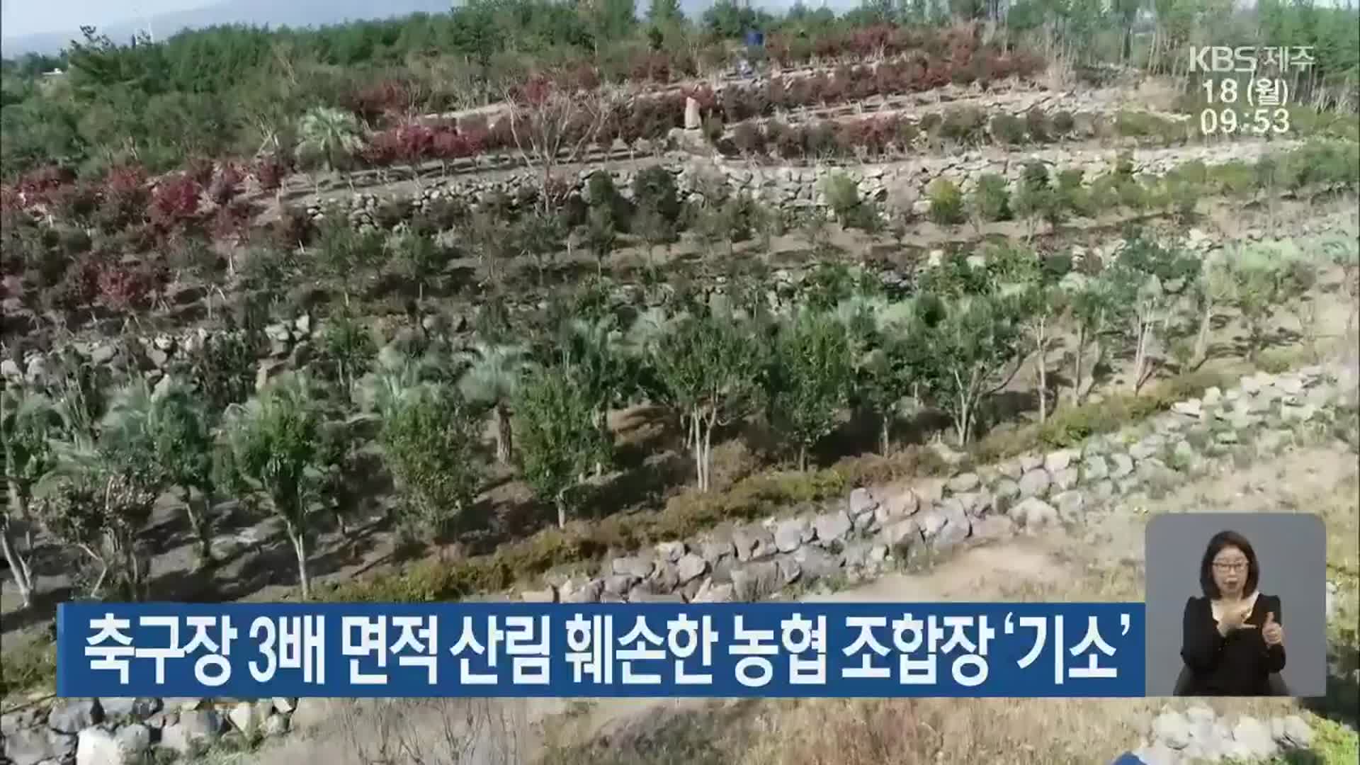 축구장 3배 면적 산림 훼손한 농협 조합장 ‘기소’