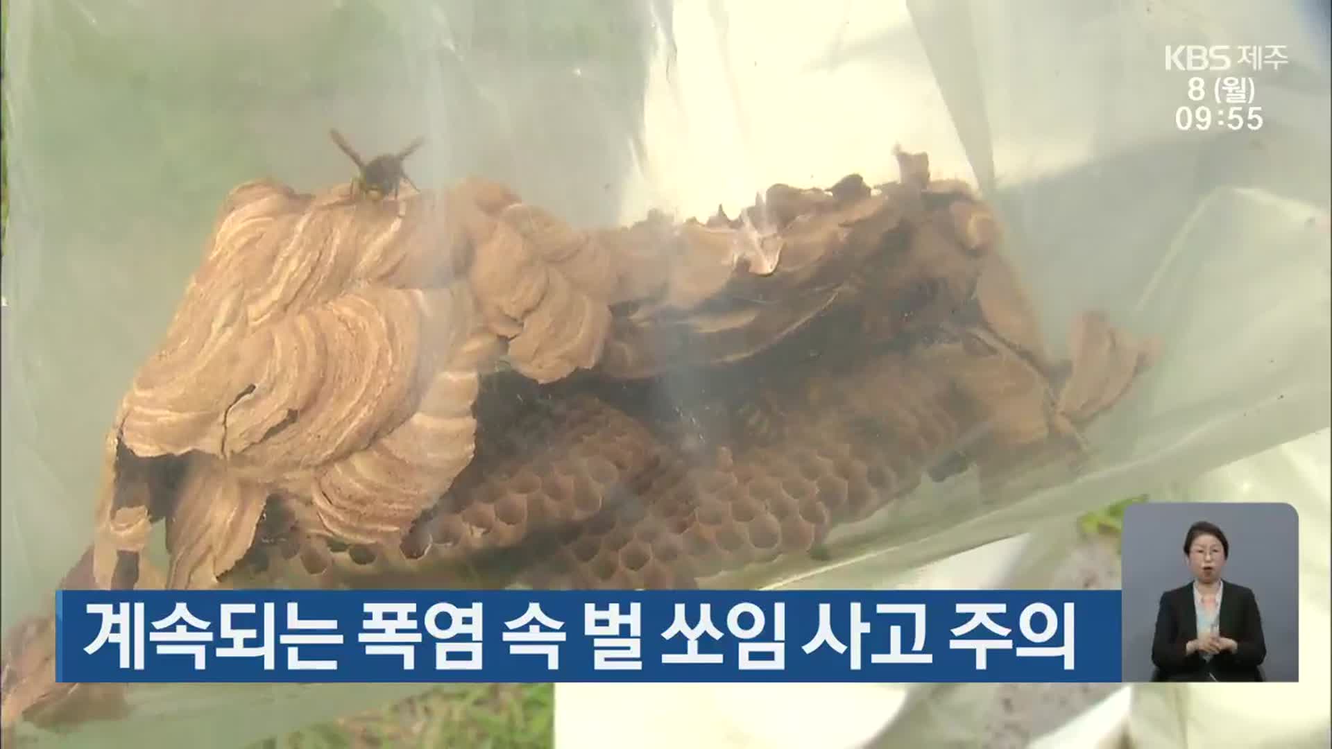계속되는 폭염 속 벌 쏘임 사고 주의