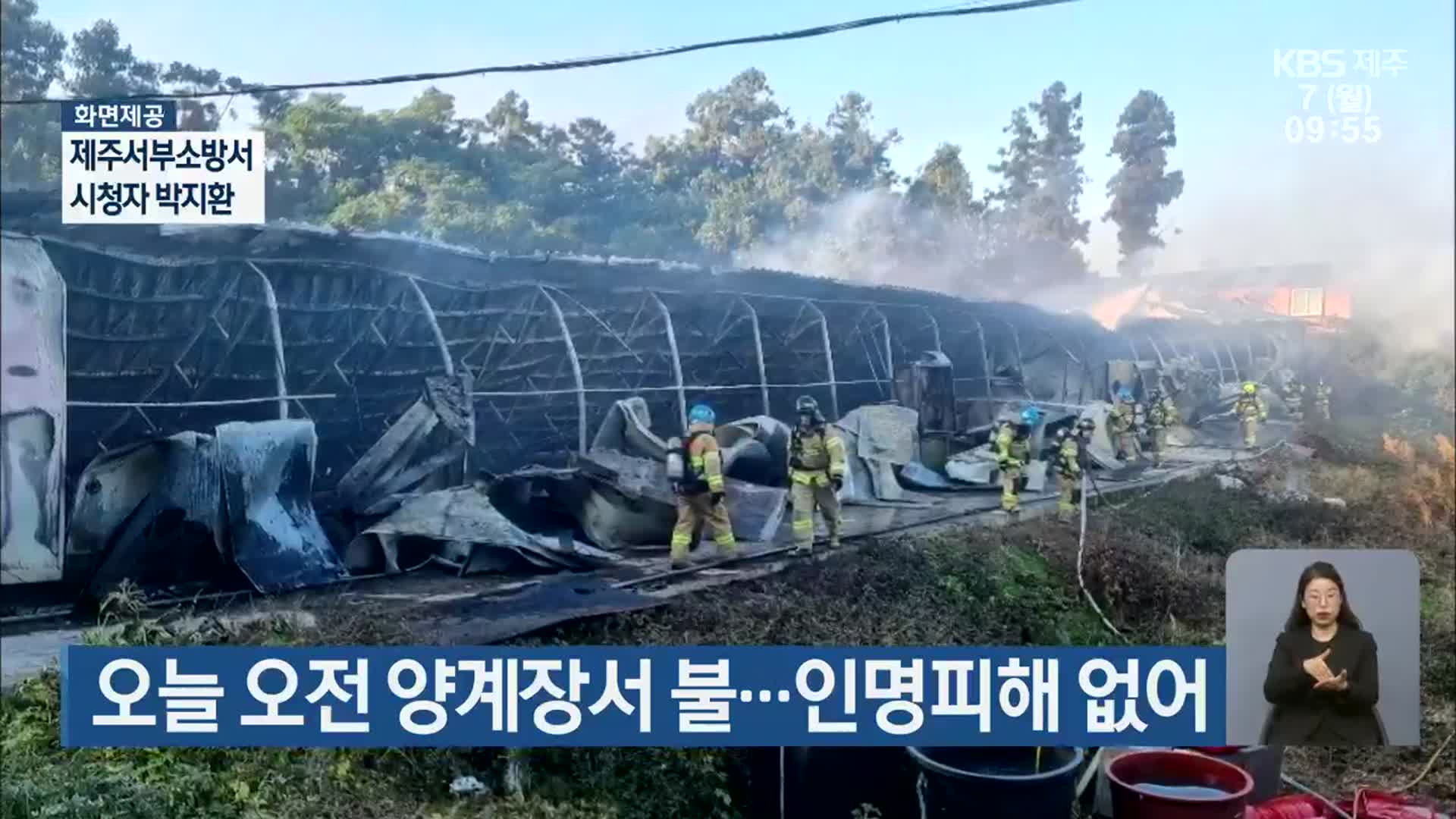 제주시, 오늘 오전 양계장서 불…인명피해 없어