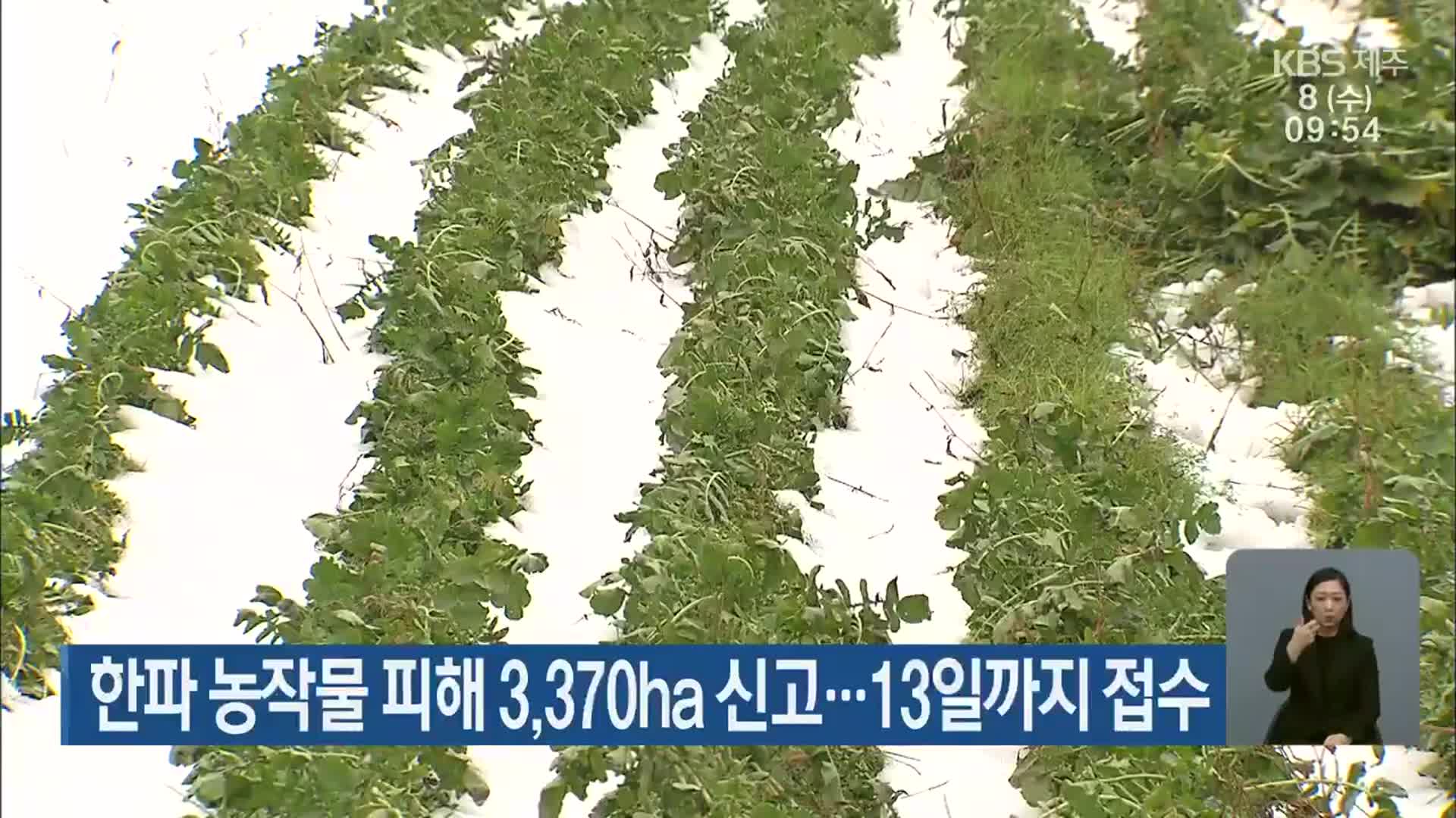 한파 농작물 피해 3,370ha 신고…13일까지 접수