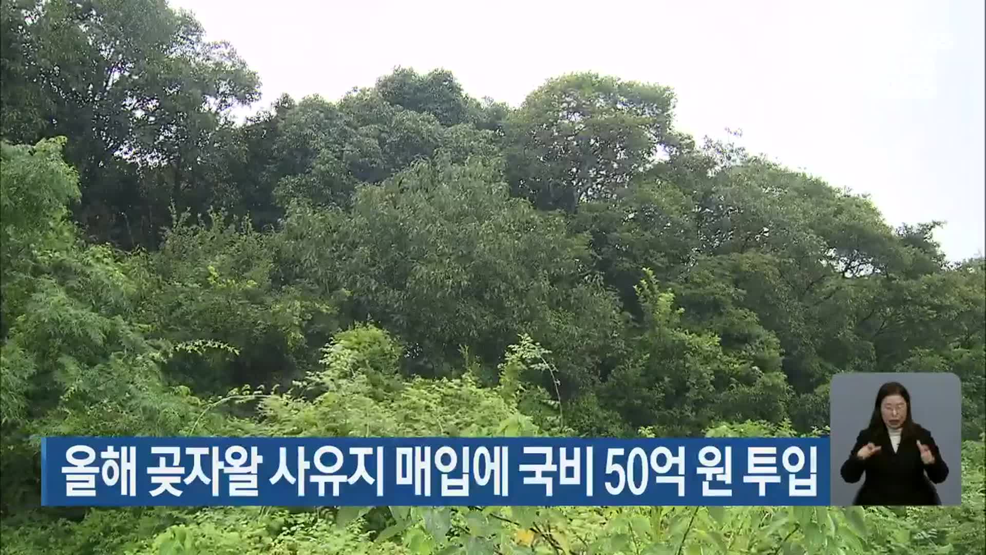 올해 곶자왈 사유지 매입에 국비 50억 원 투입