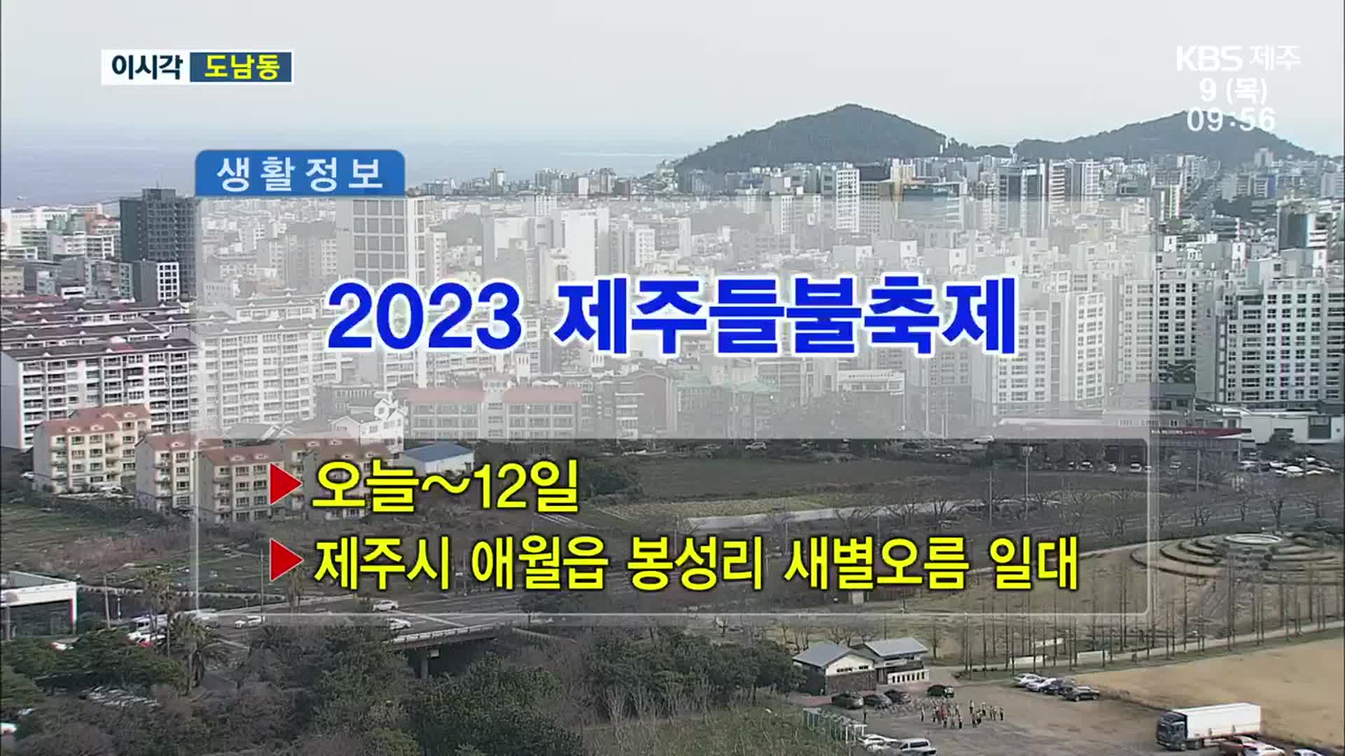 2023 제주들불축제 외