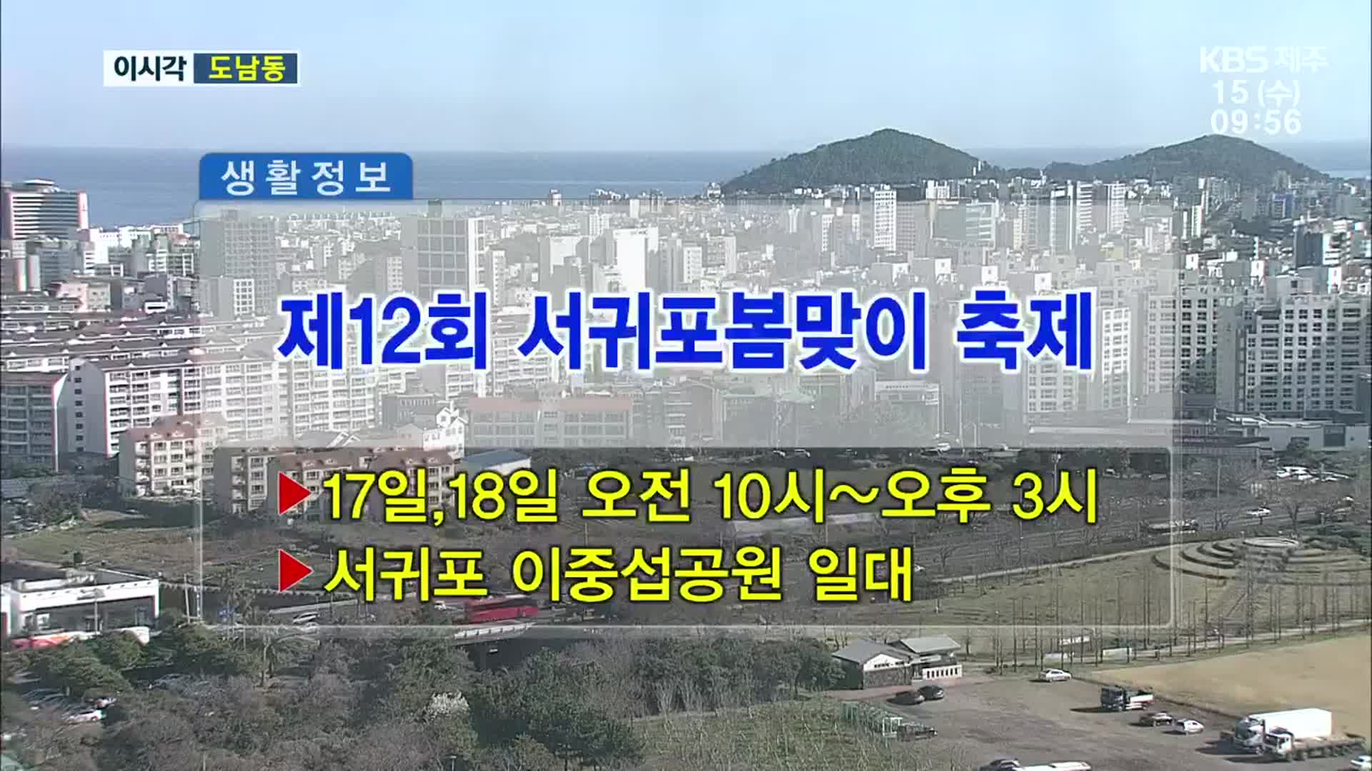 제12회 서귀포봄맞이 축제 외