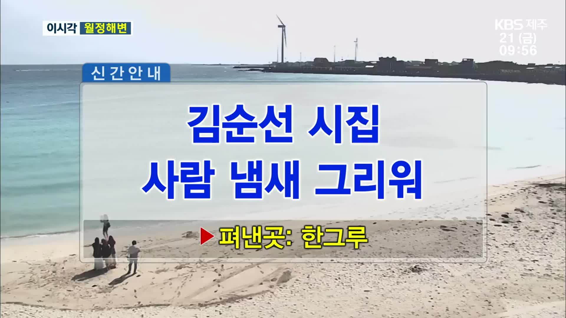 김순선 시집 사람 냄새 그리워 외