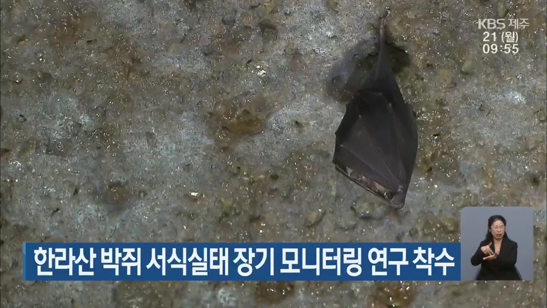 한라산 박쥐 서식실태 장기 모니터링 연구 착수