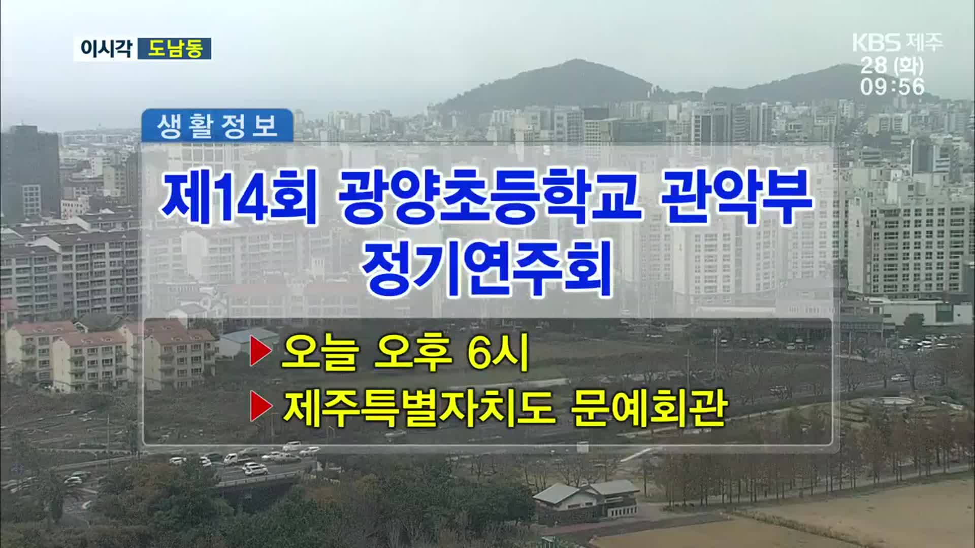 제14회 광양초등학교 관악부 정기연주회 외