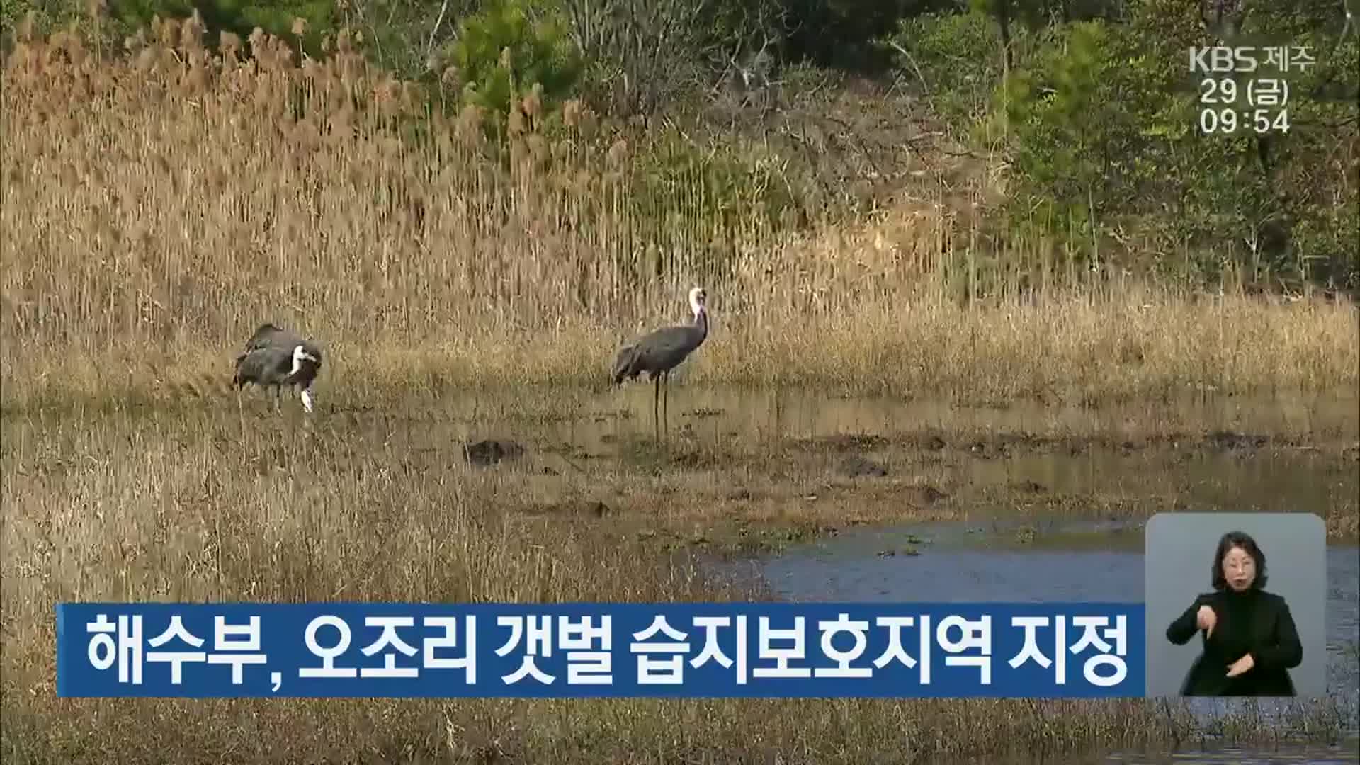 해수부, 오조리 갯벌 습지보호지역 지정