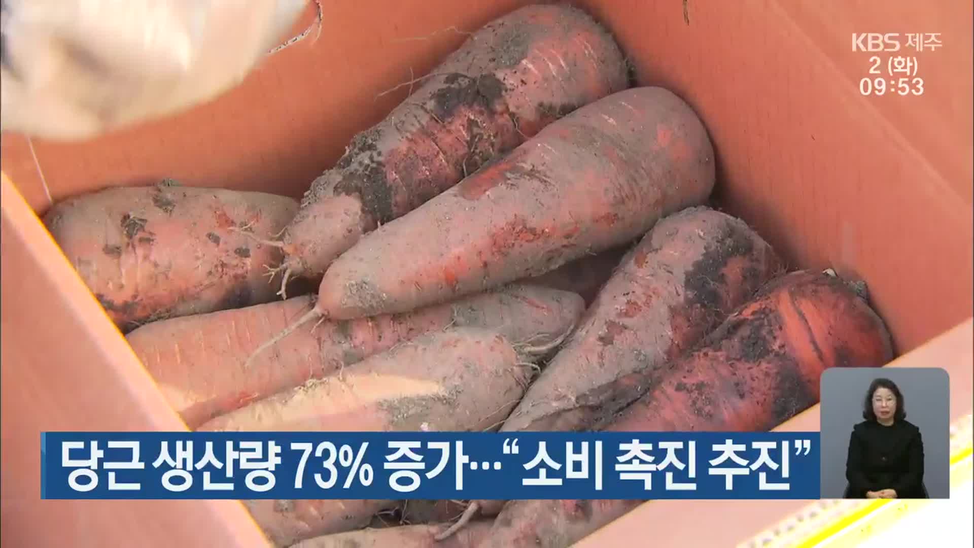 당근 생산량 73% 증가…“소비촉진 추진”