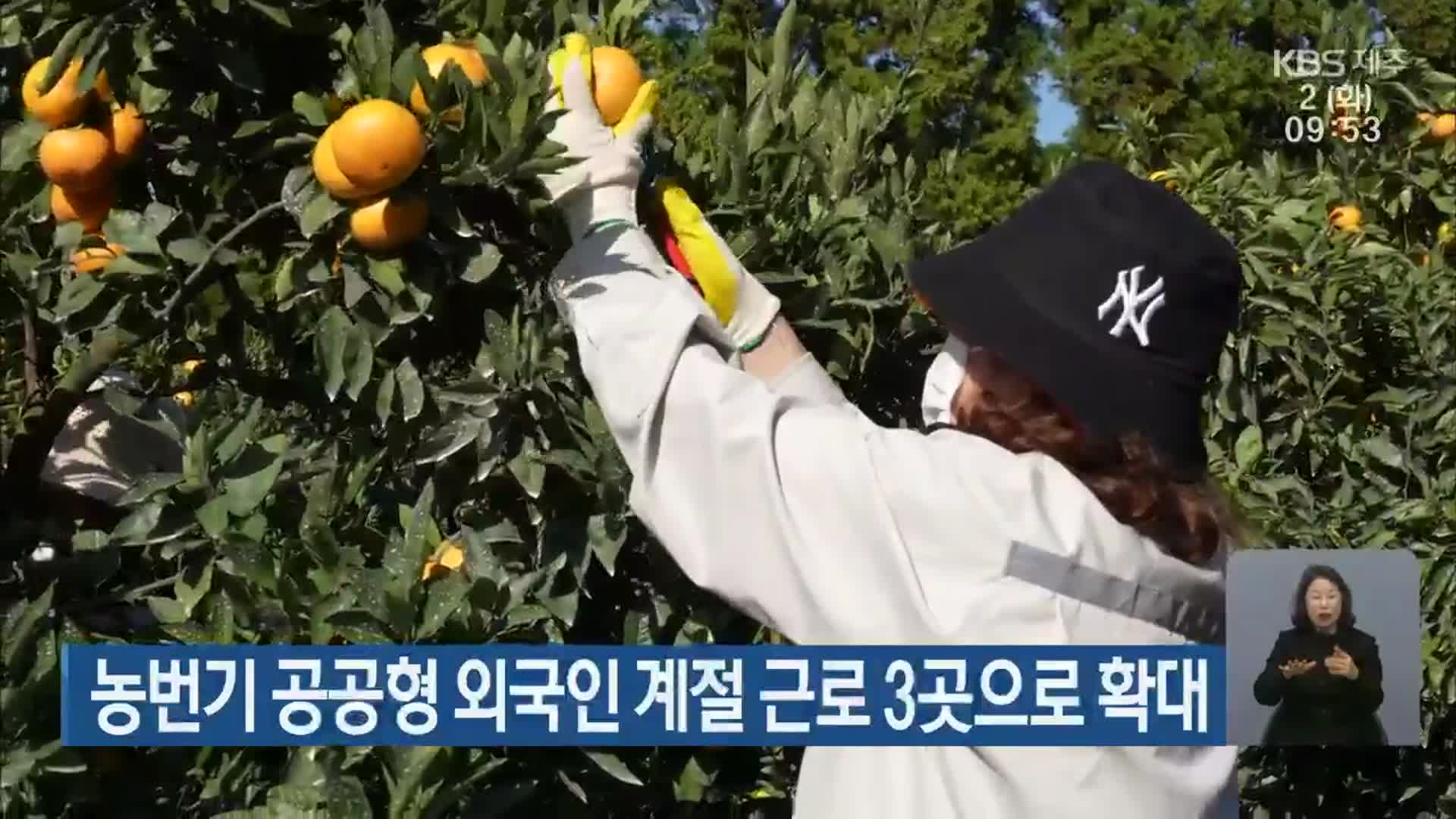 농번기 공공형 외국인 계절근로 3곳으로 확대