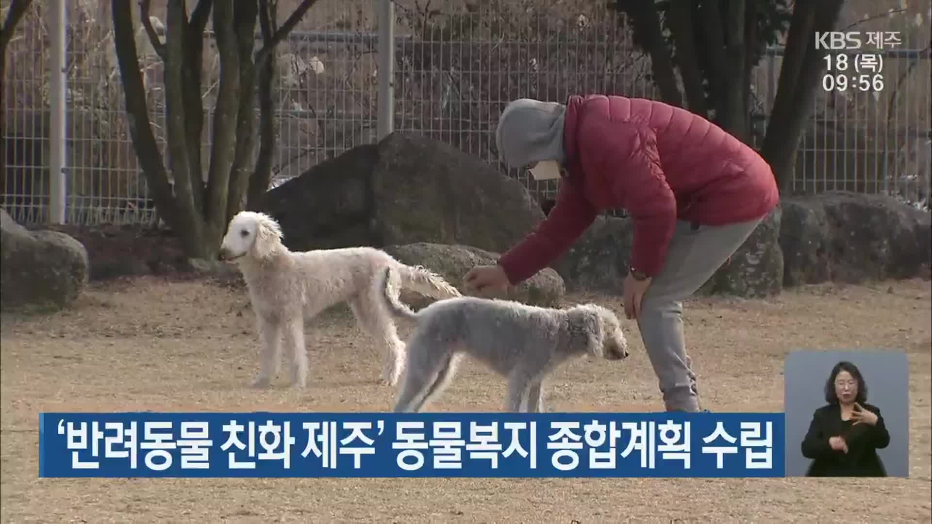 ‘반려동물 친화 제주’ 동물복지 종합계획 수립