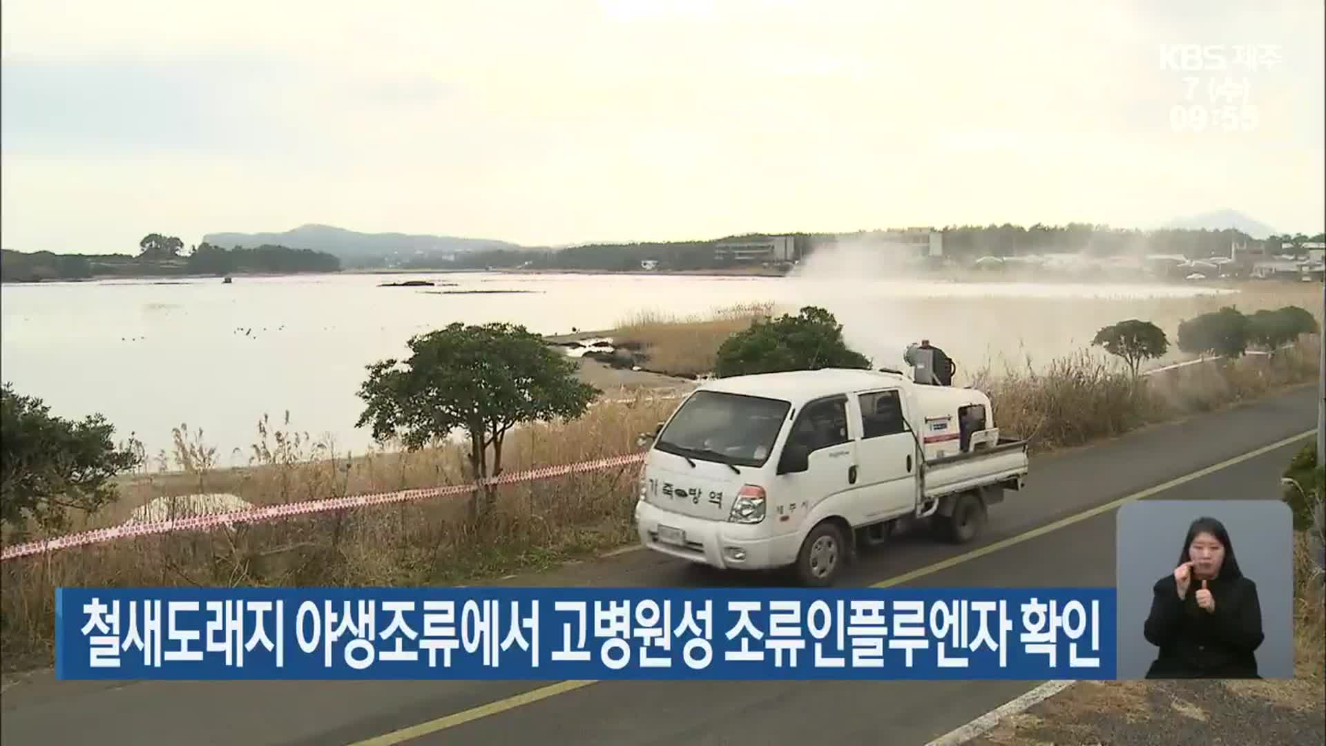 제주 철새도래지 야생조류에서 고병원성 조류인플루엔자 확인