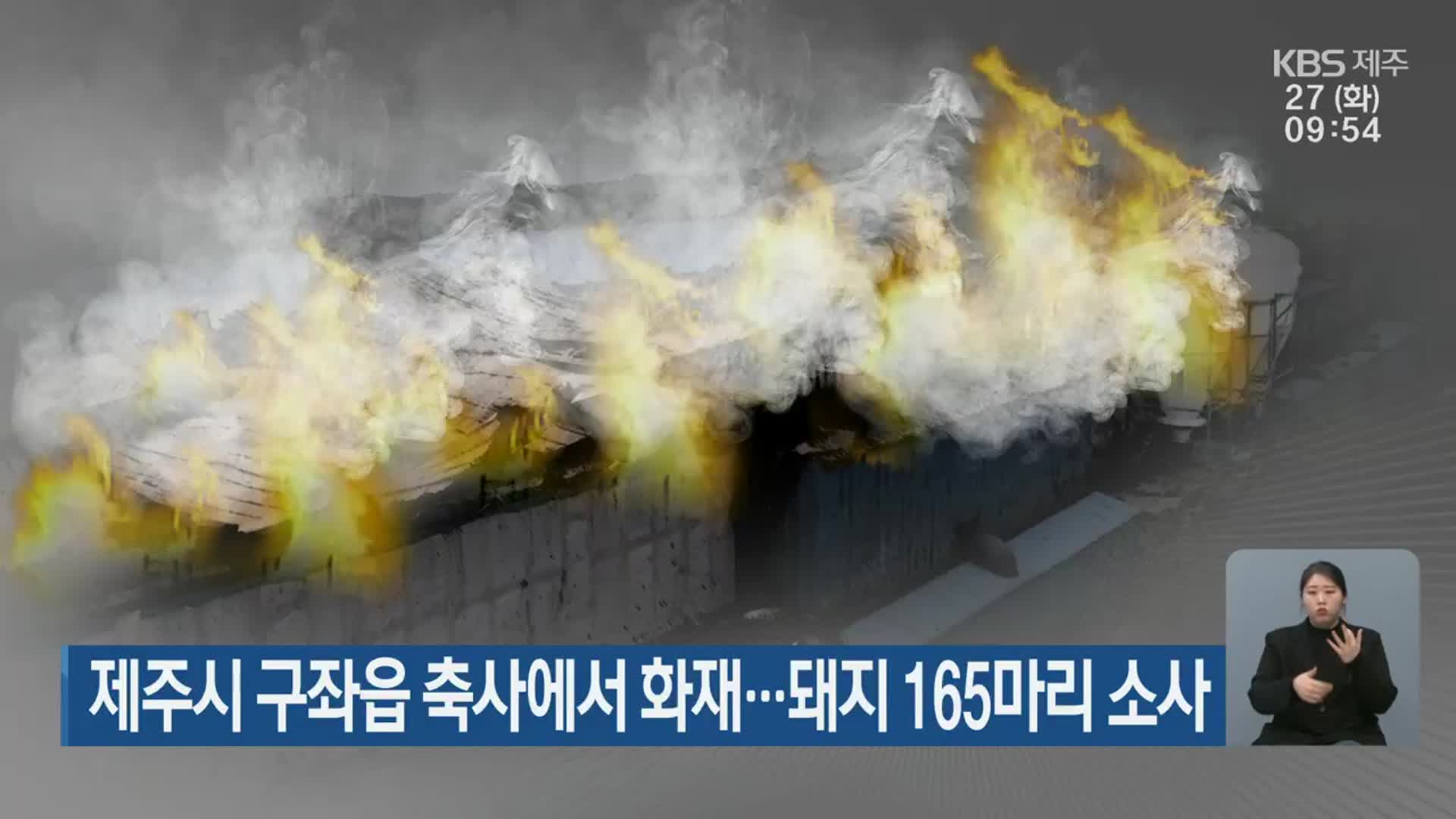 제주시 구좌읍 축사에서 화재…돼지 165마리 소사