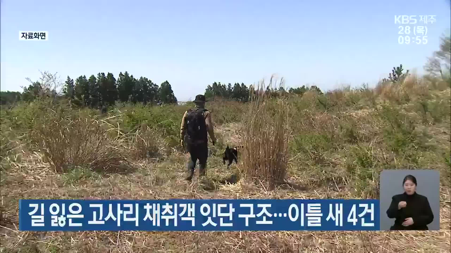 길 잃은 고사리 채취객 구조 잇달아…“이틀 새 4건”