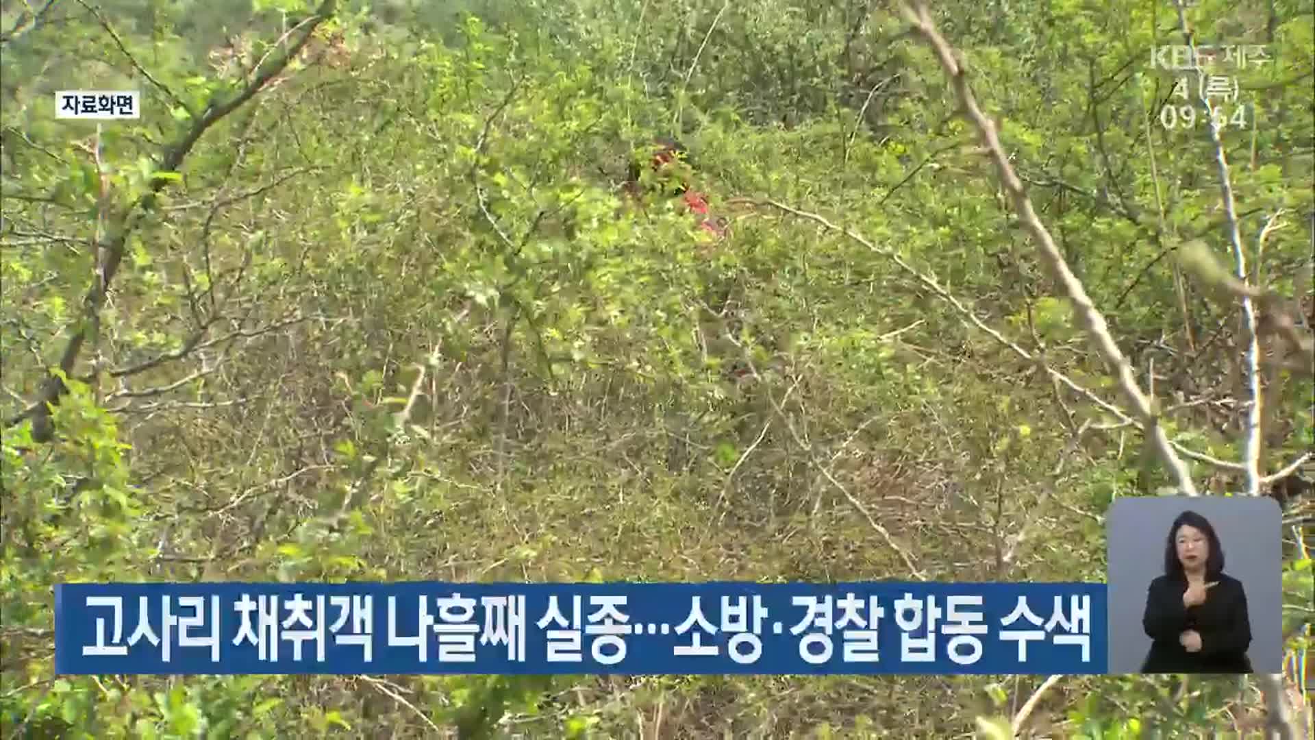 고사리 채취객 나흘째 실종…소방·경찰 합동 수색