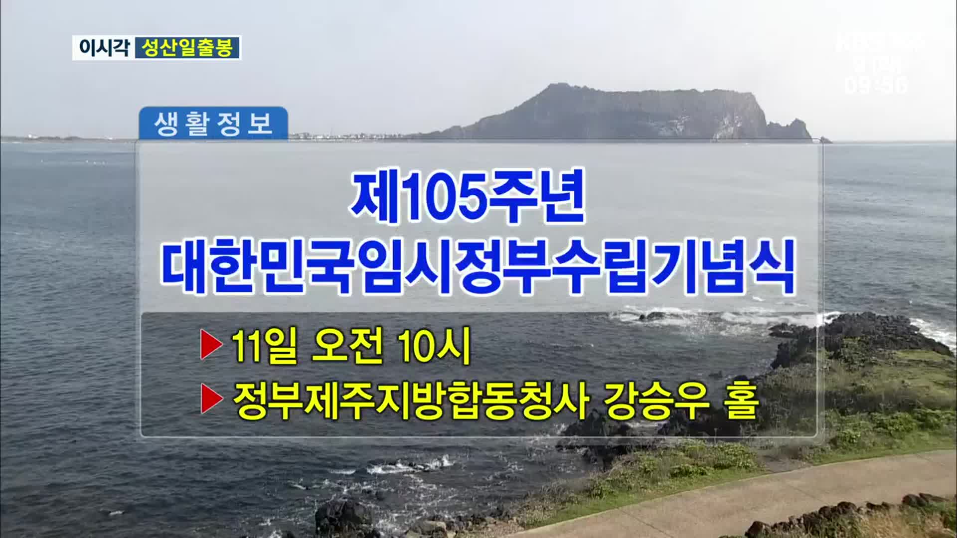 제105주년 대한민국임시정부수립기념식 외