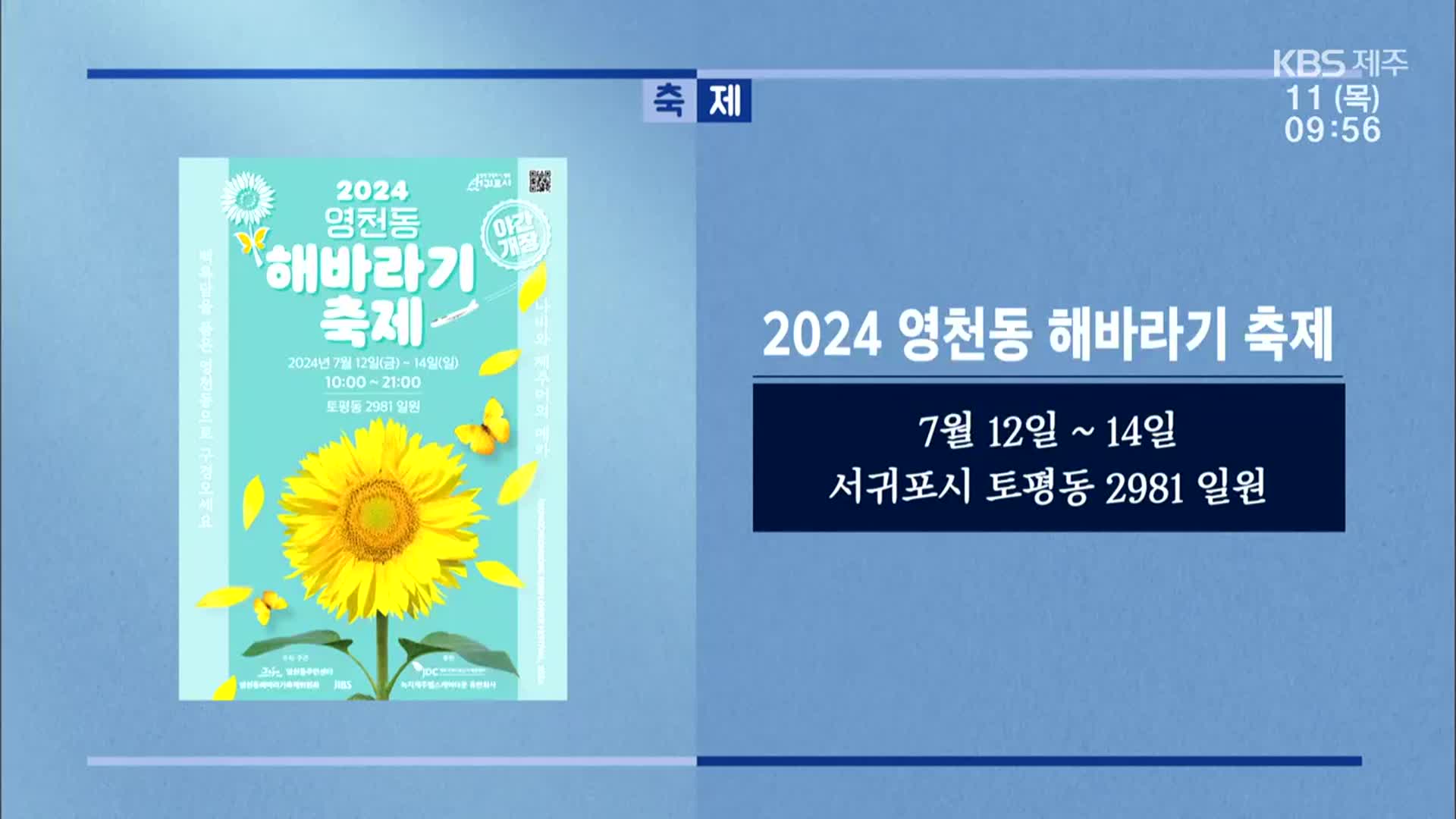 2024 영천동 해바라기 축제 외