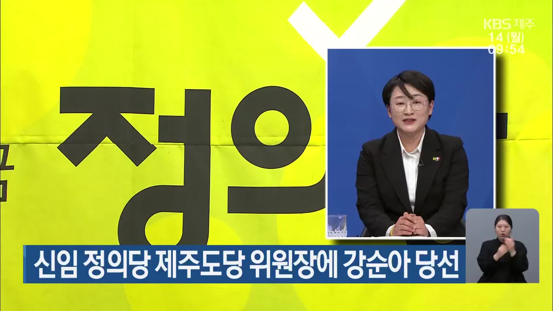 신임 정의당 제주도당 위원장에 강순아 당선