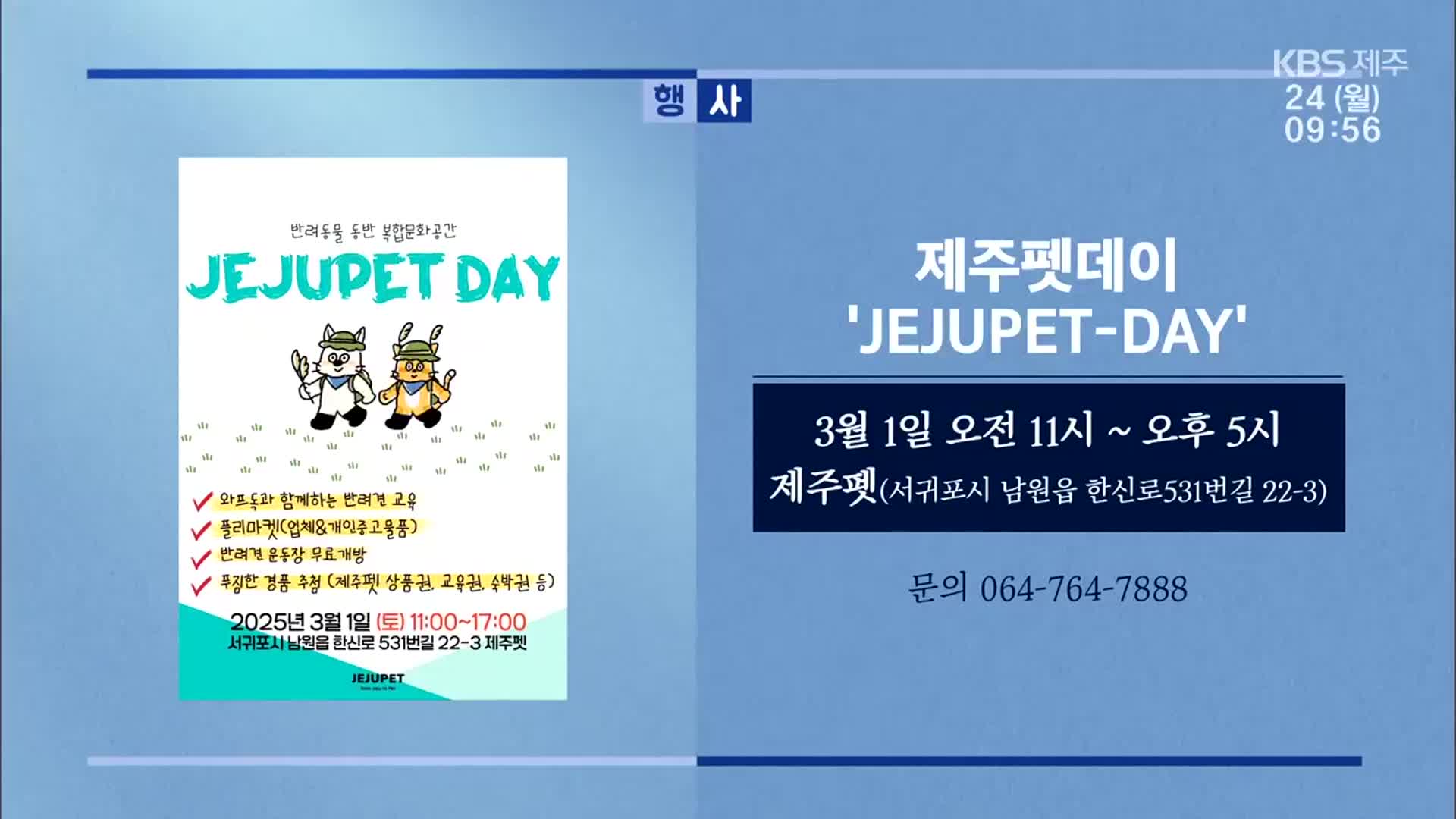 제주펫데이 ‘JEJUPET-DAY’ 외