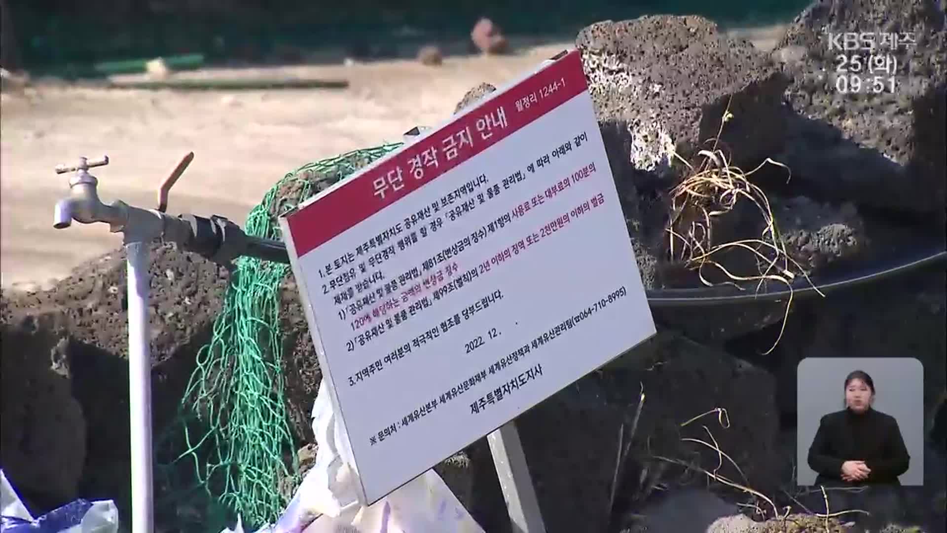 [현장K] ‘불법’이냐 ‘생존’이냐…용암동굴과 농민들의 불편한 동거