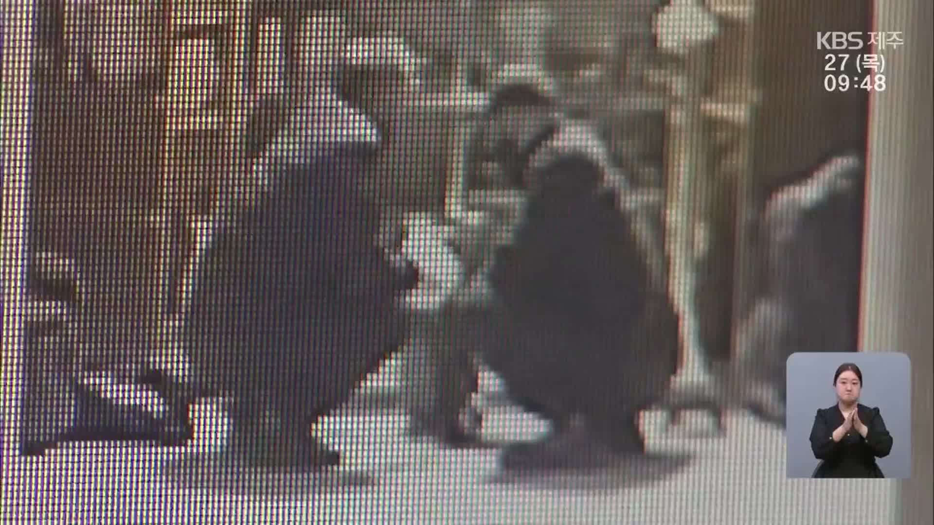 유골함 훔친 뒤 “28억 달라”…선 넘는 중국인 범죄