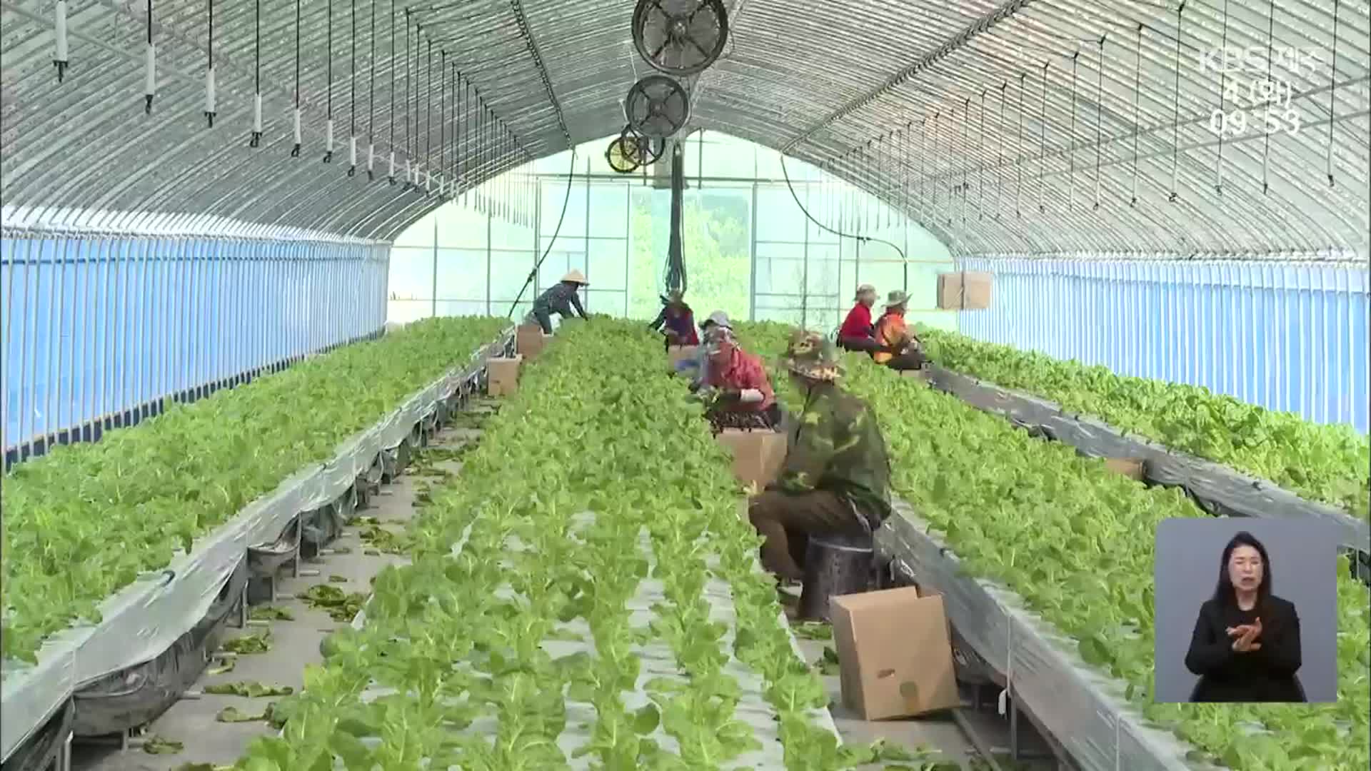 본격적인 영농철…외국인 계절근로자 숙소 확보 비상