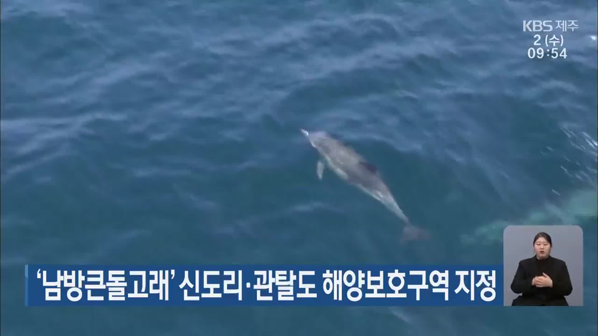 ‘남방큰돌고래’ 신도리·관탈도 해양보호구역 지정