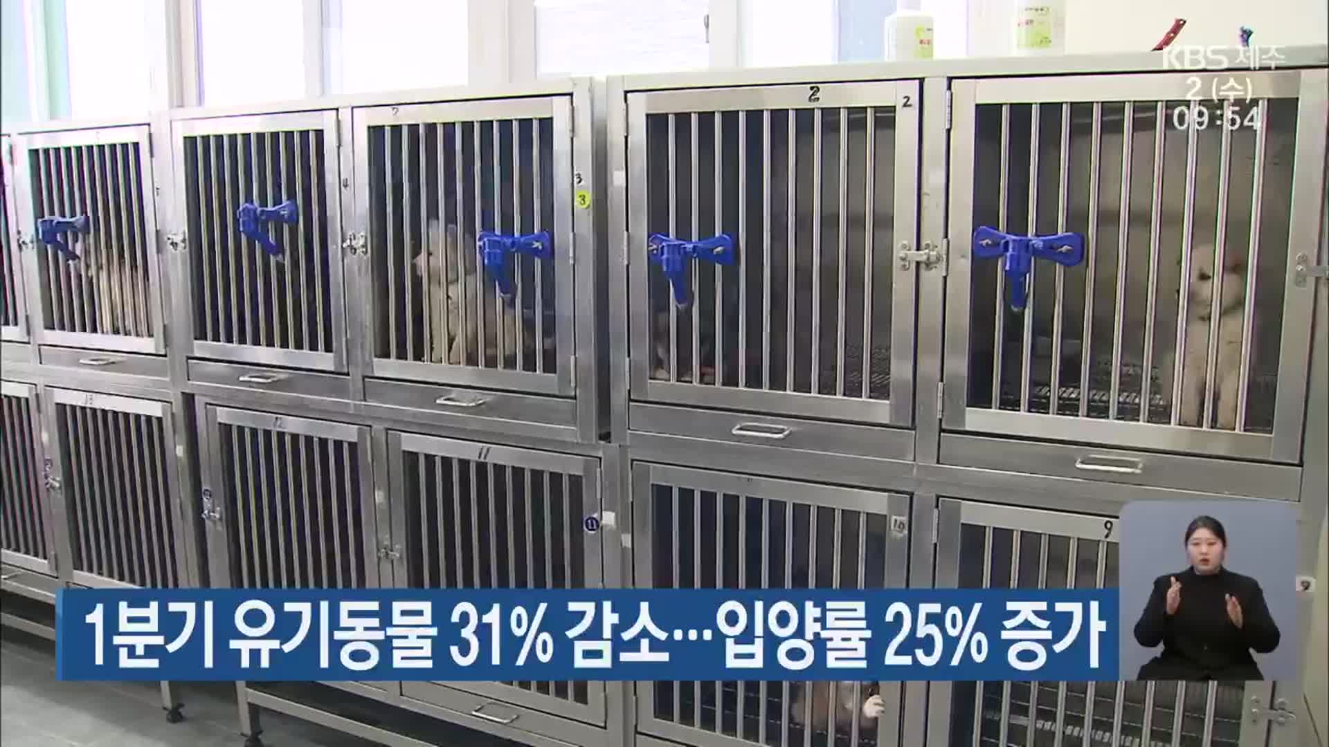 1분기 유기동물 31% 감소…입양률 25% 증가
