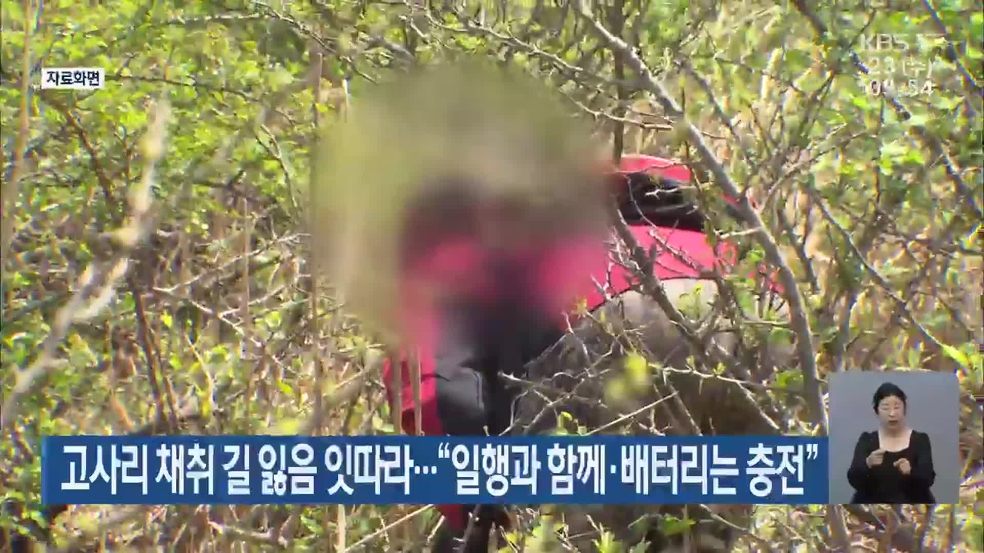 고사리 채취 길 잃음 잇따라…“일행과 함께·배터리는 충전”