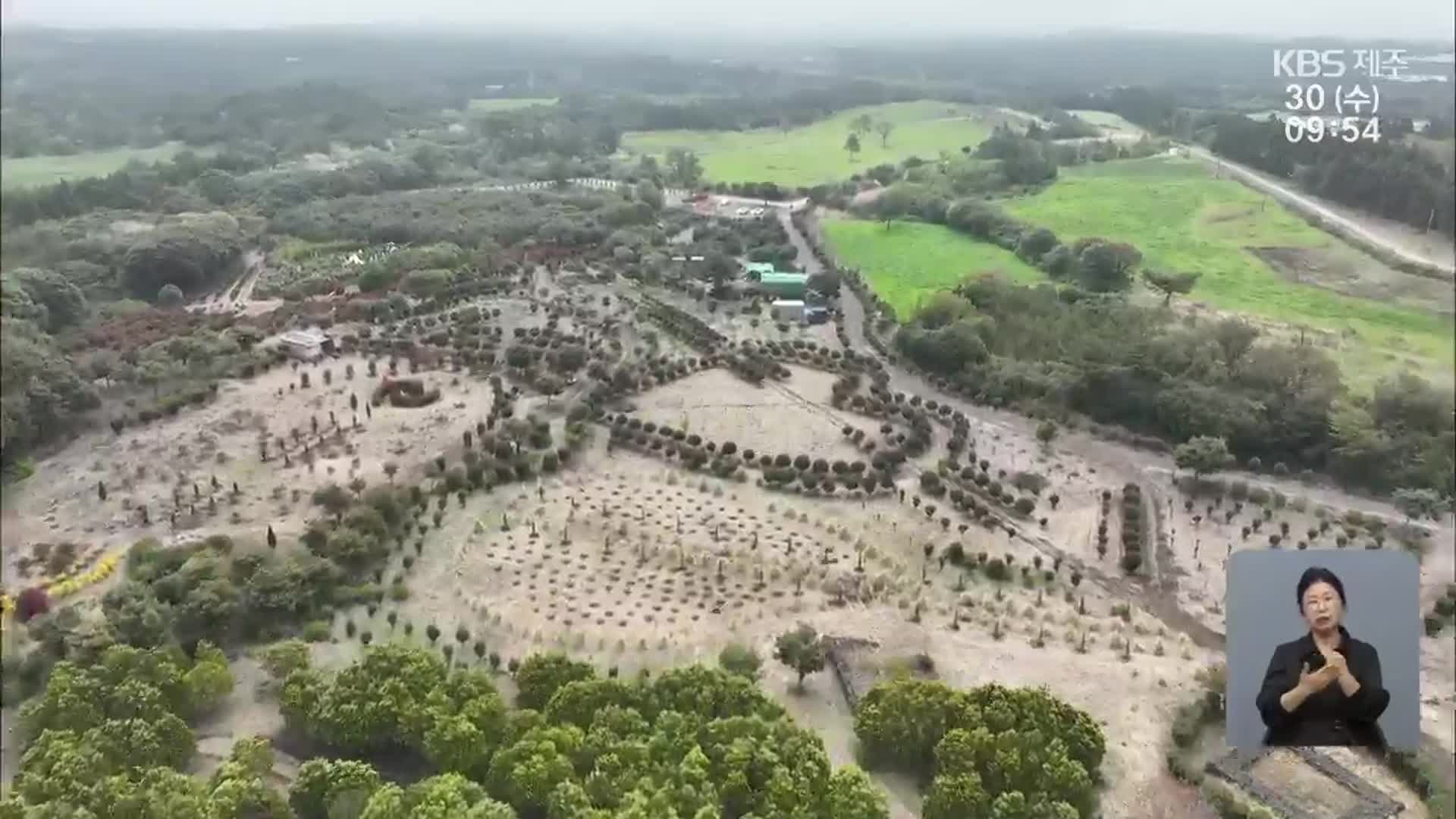 [탐사K] ‘축구장 8배’ 제주 최대 규모 산림 훼손…SNS선 유명세?