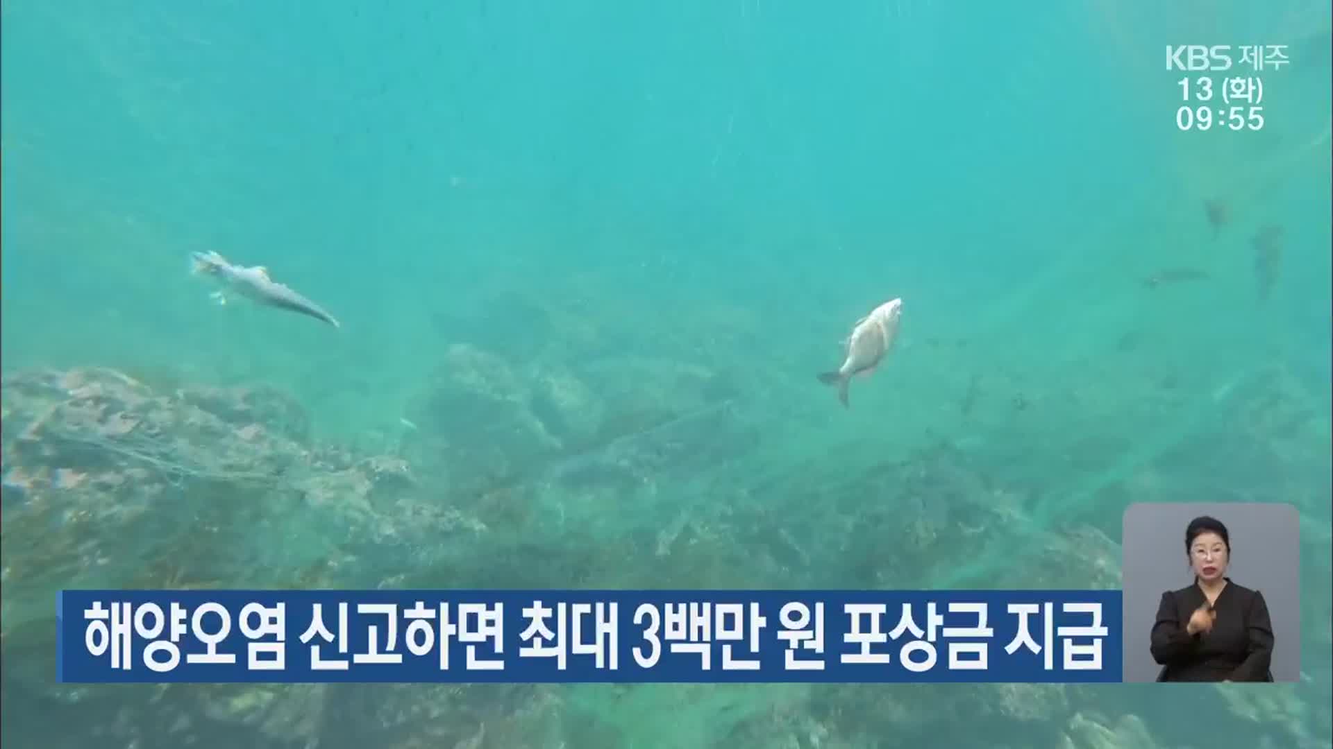 해양오염 신고하면 최대 3백만 원 포상금 지급