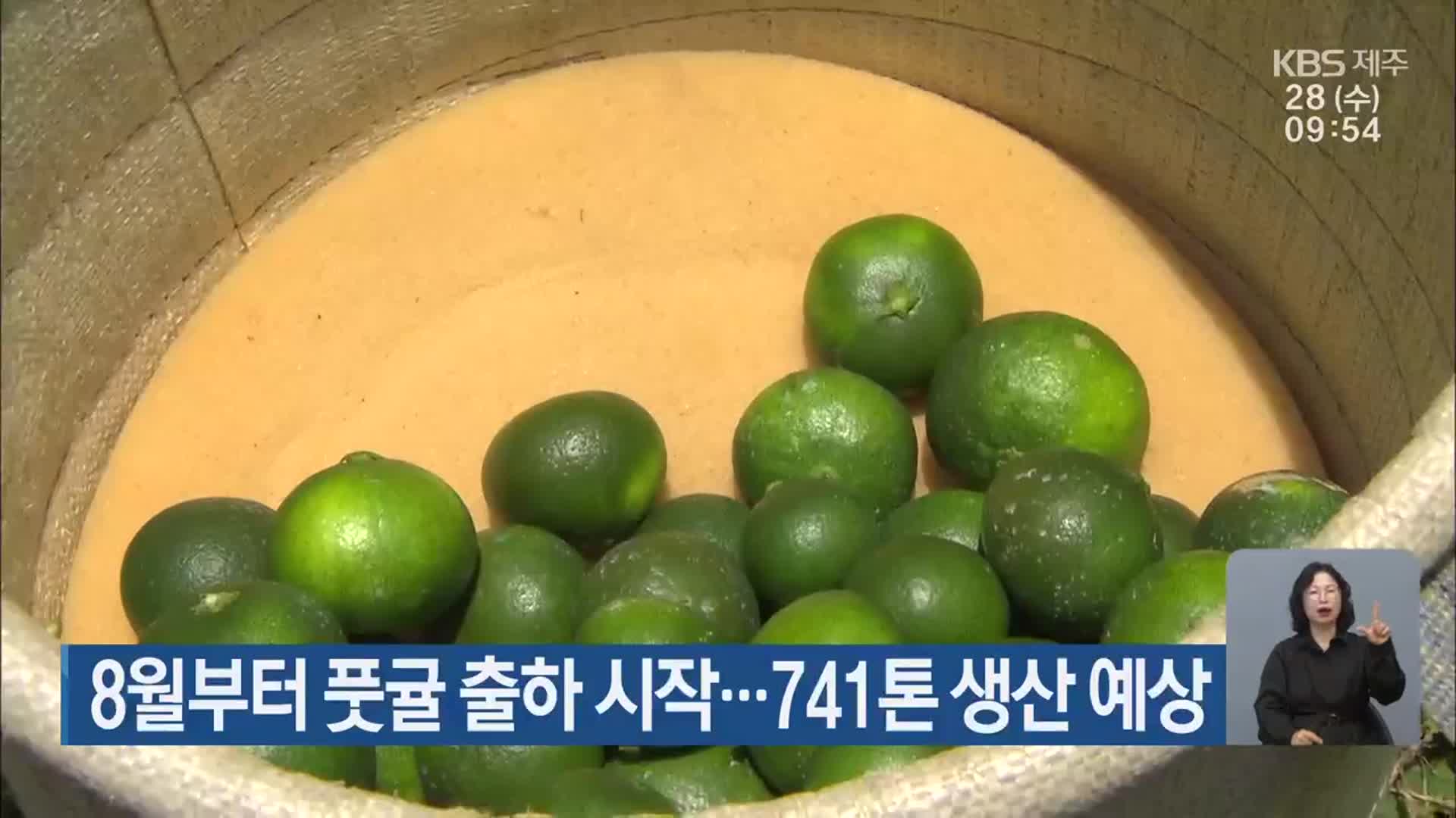 8월부터 풋귤 출하 시작…741톤 생산 예상