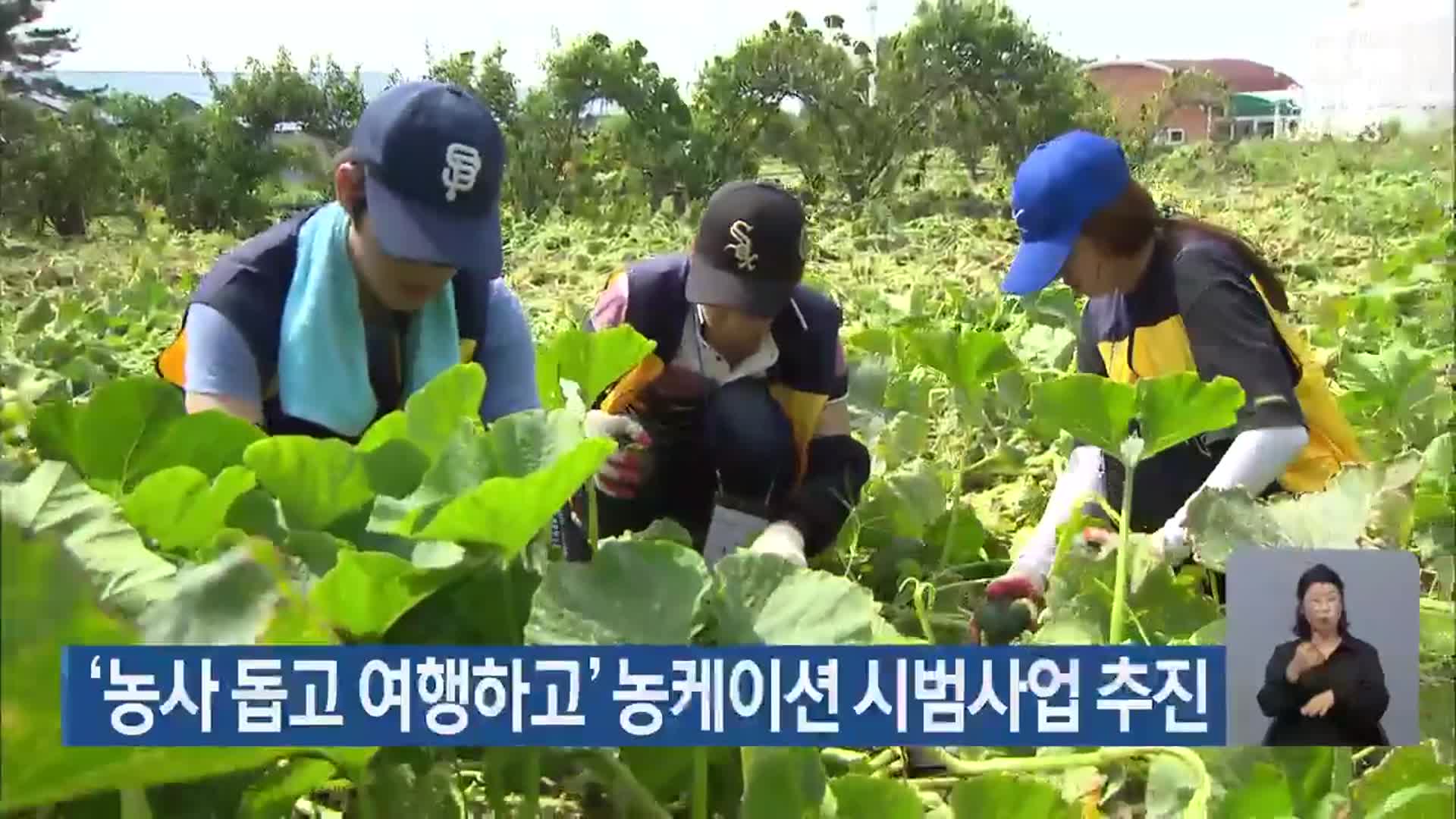‘농사 돕고 여행하고’ 농케이션 시범사업 추진