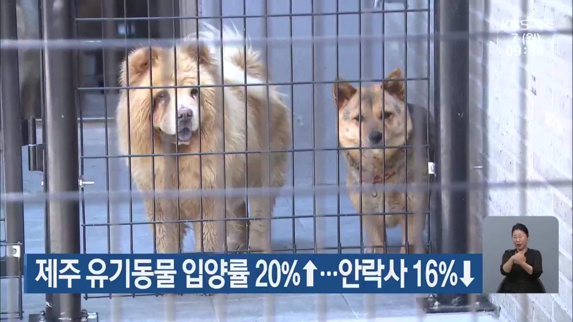 제주 유기동물 입양률 20%↑…안락사 16%↓