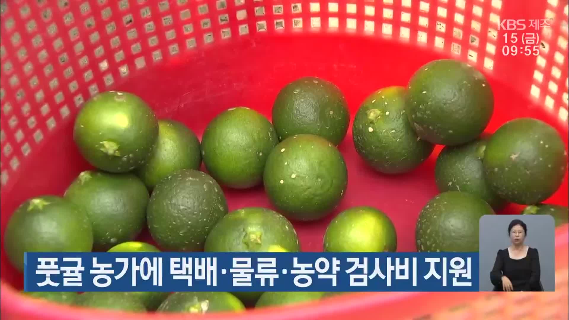 풋귤 농가에 택배·물류·농약 검사비 지원
