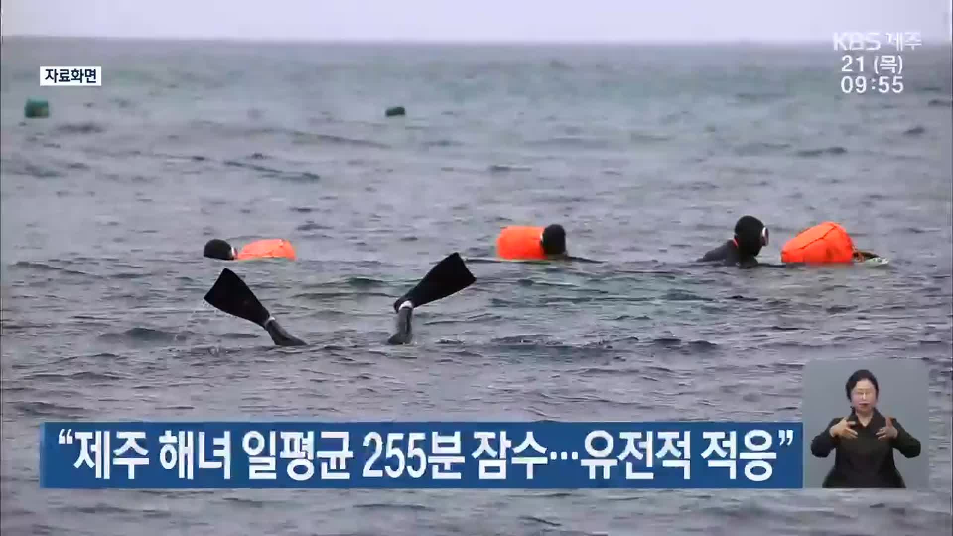 “제주 해녀 일평균 255분 잠수…유전적 적응”